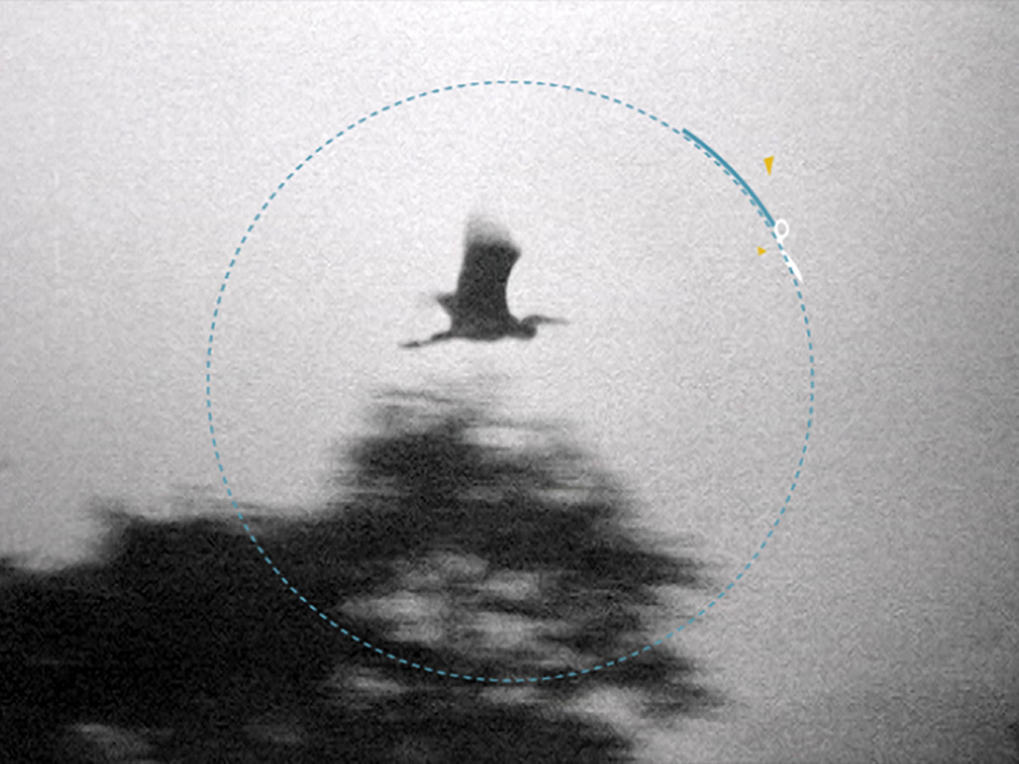 Impactist Magical Still Frame 04