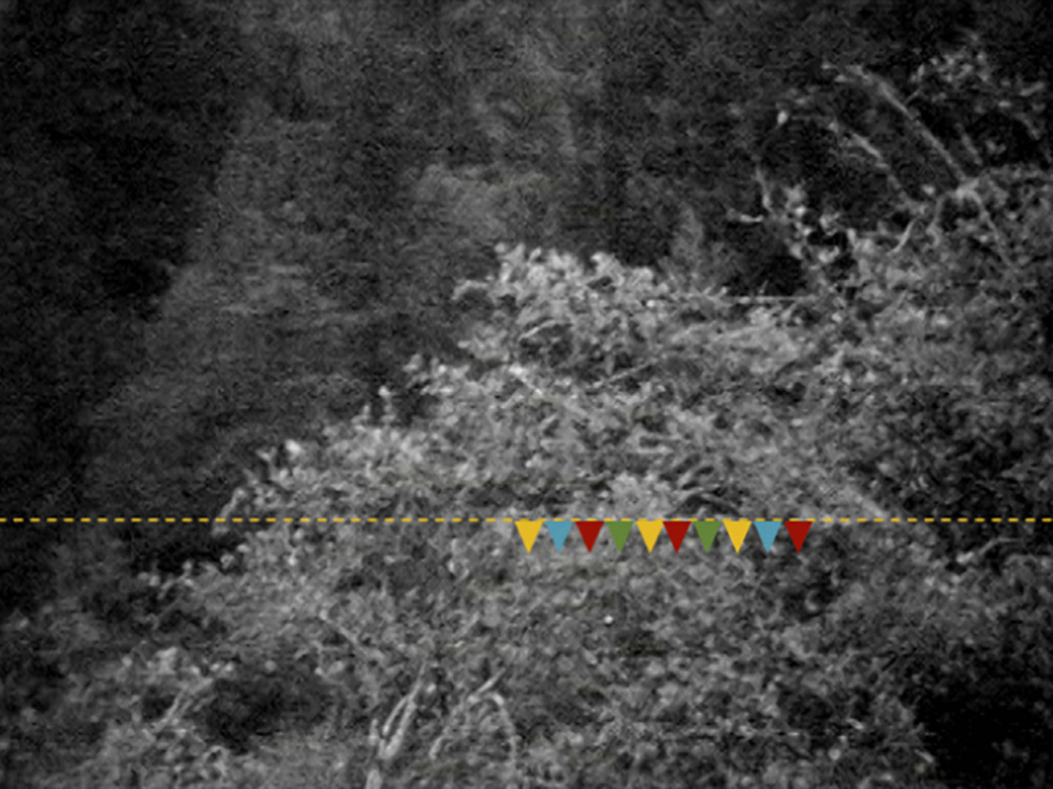 Impactist Magical Still Frame 11