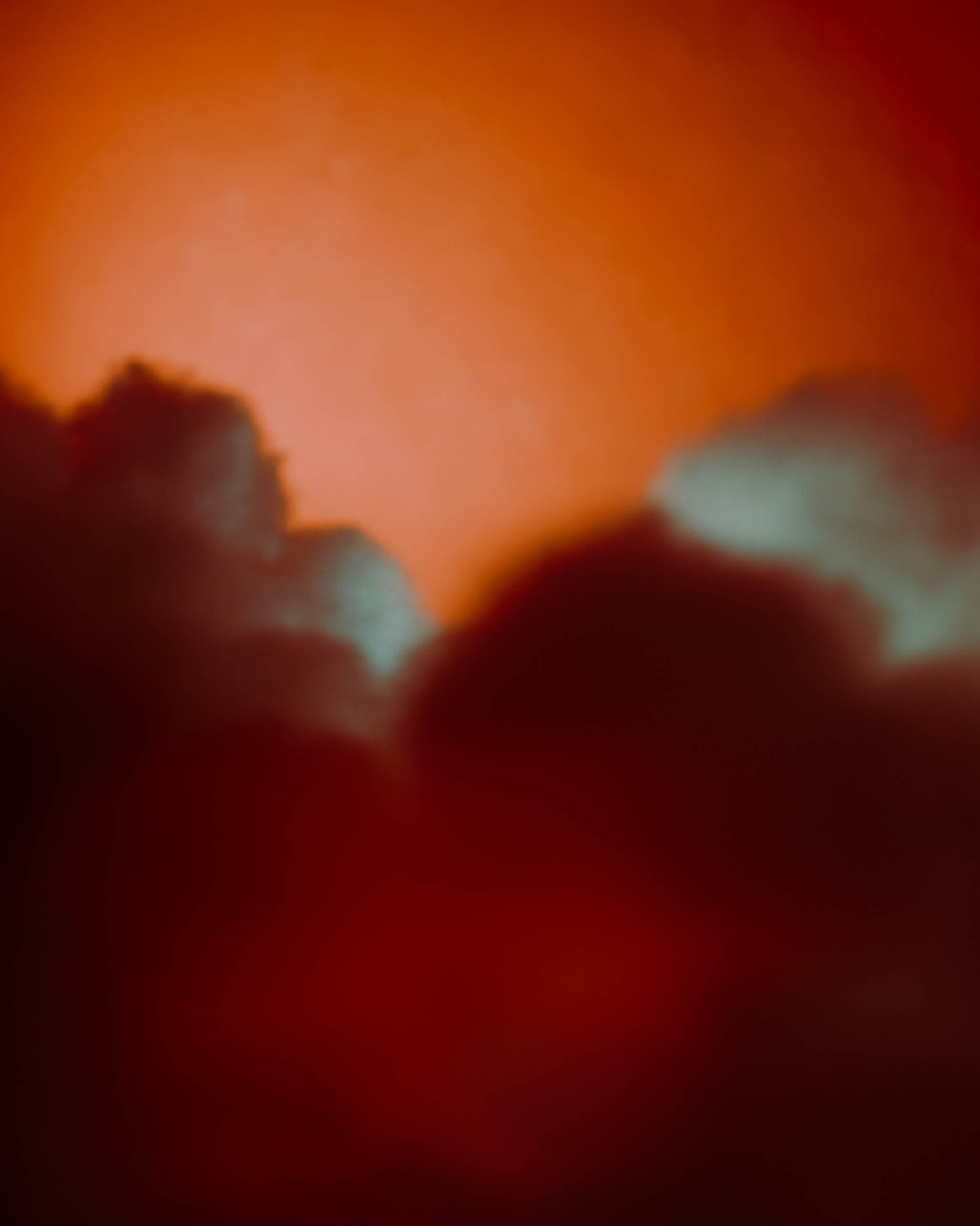 Impactist The Owl Image 16