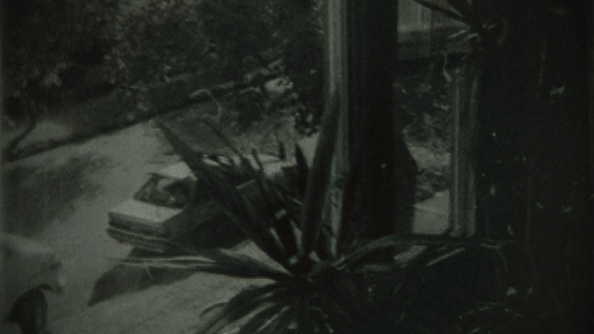 Impactist The Type Writer Still Frame 13