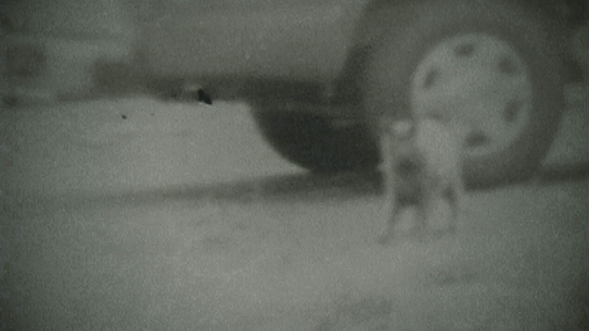 Impactist The Type Writer Still Frame 18
