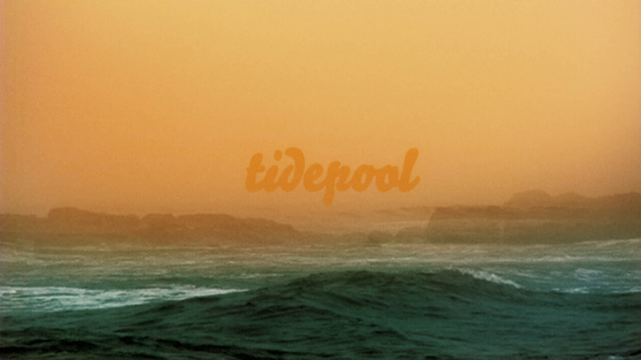 Impactist Tidepool Still Frame 07