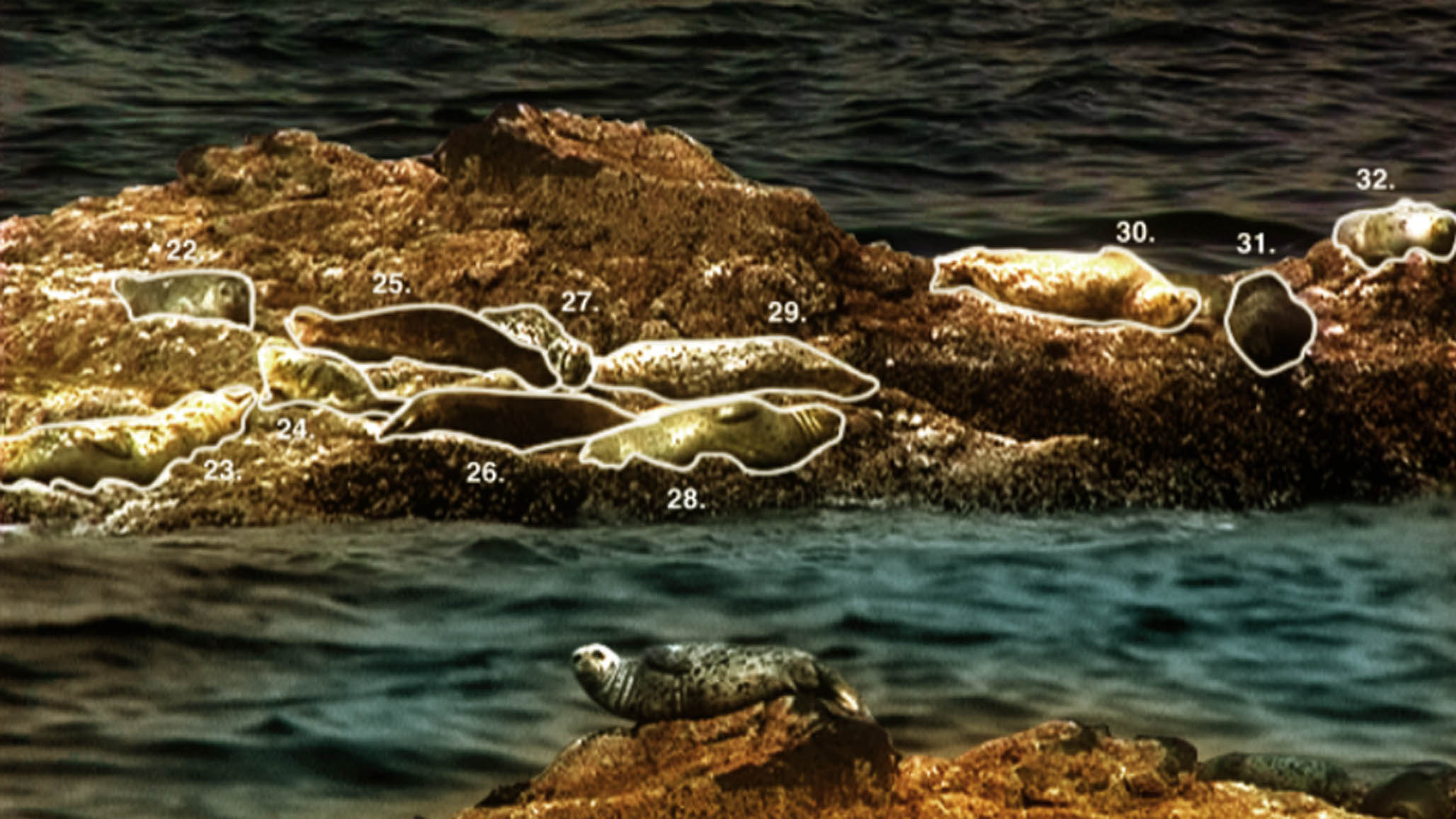 Impactist Tidepool Still Frame 01