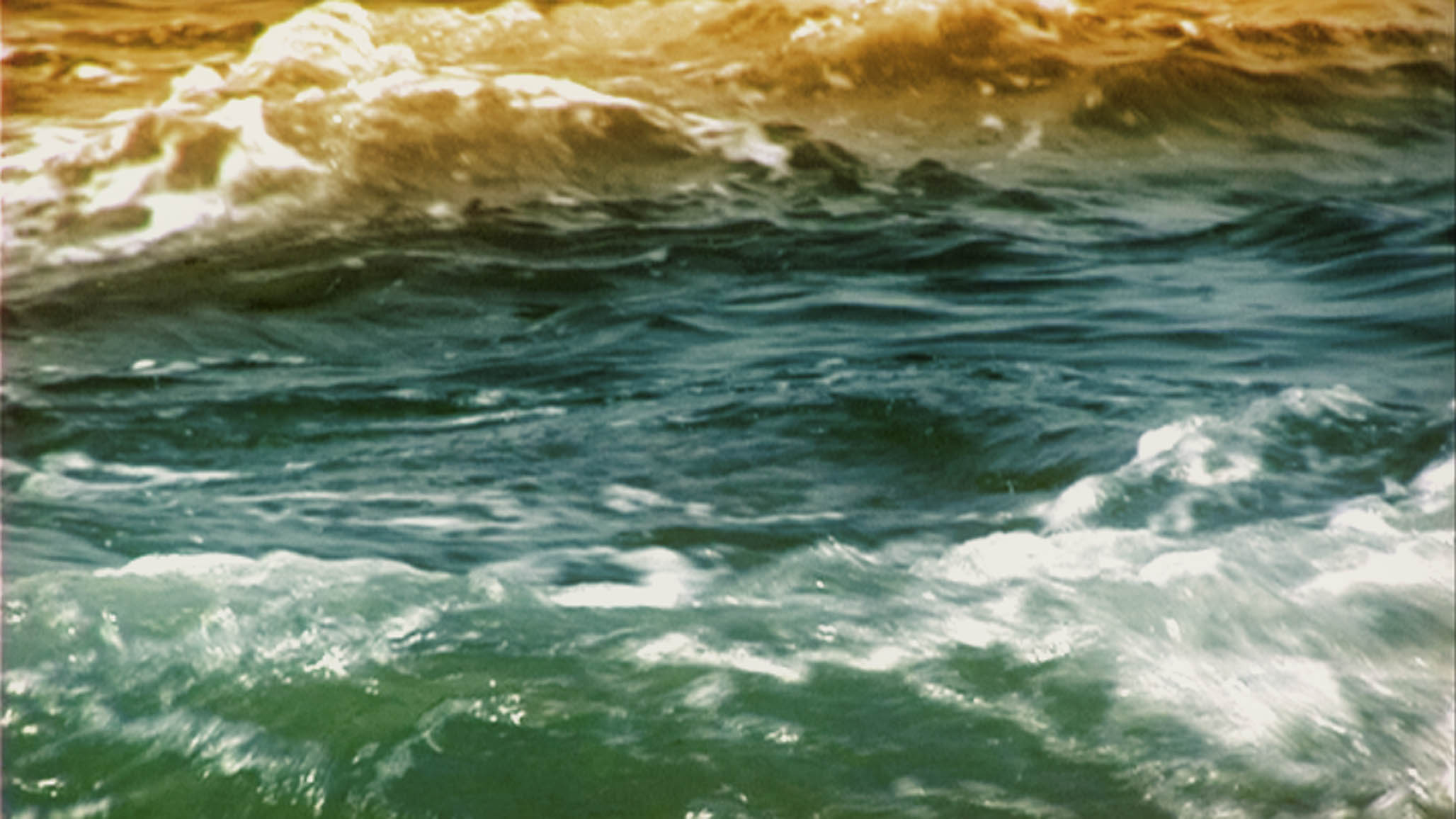 Impactist Tidepool Still Frame 05