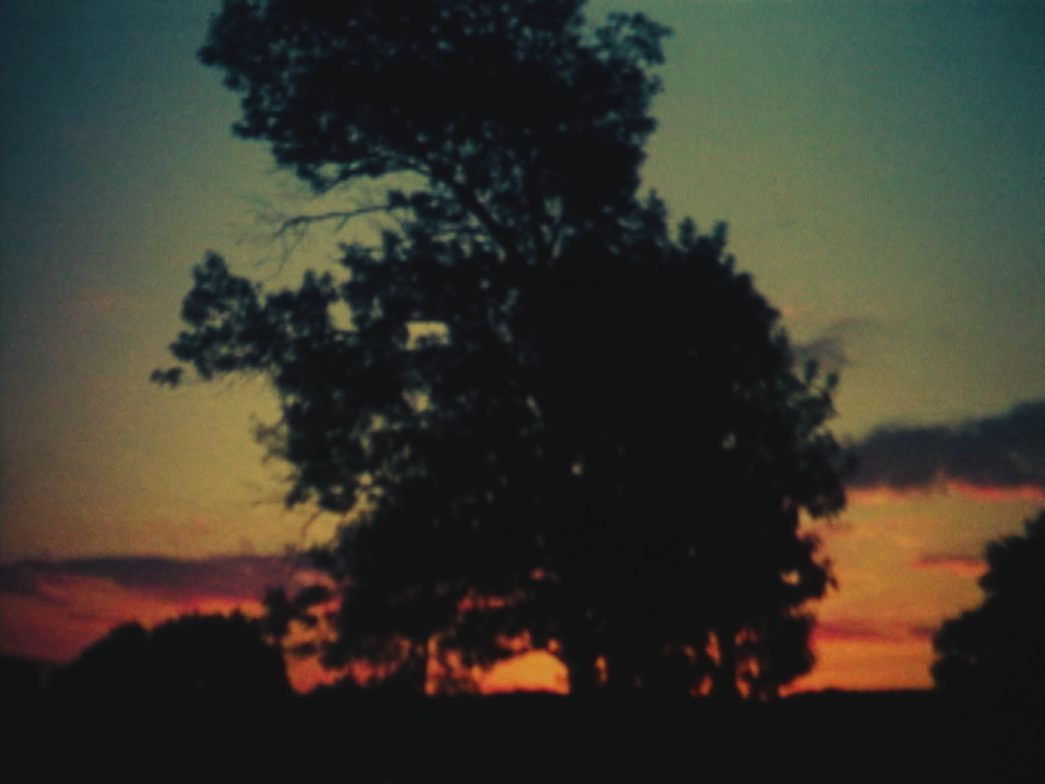 Impactist Time Landscape Still Frame 05