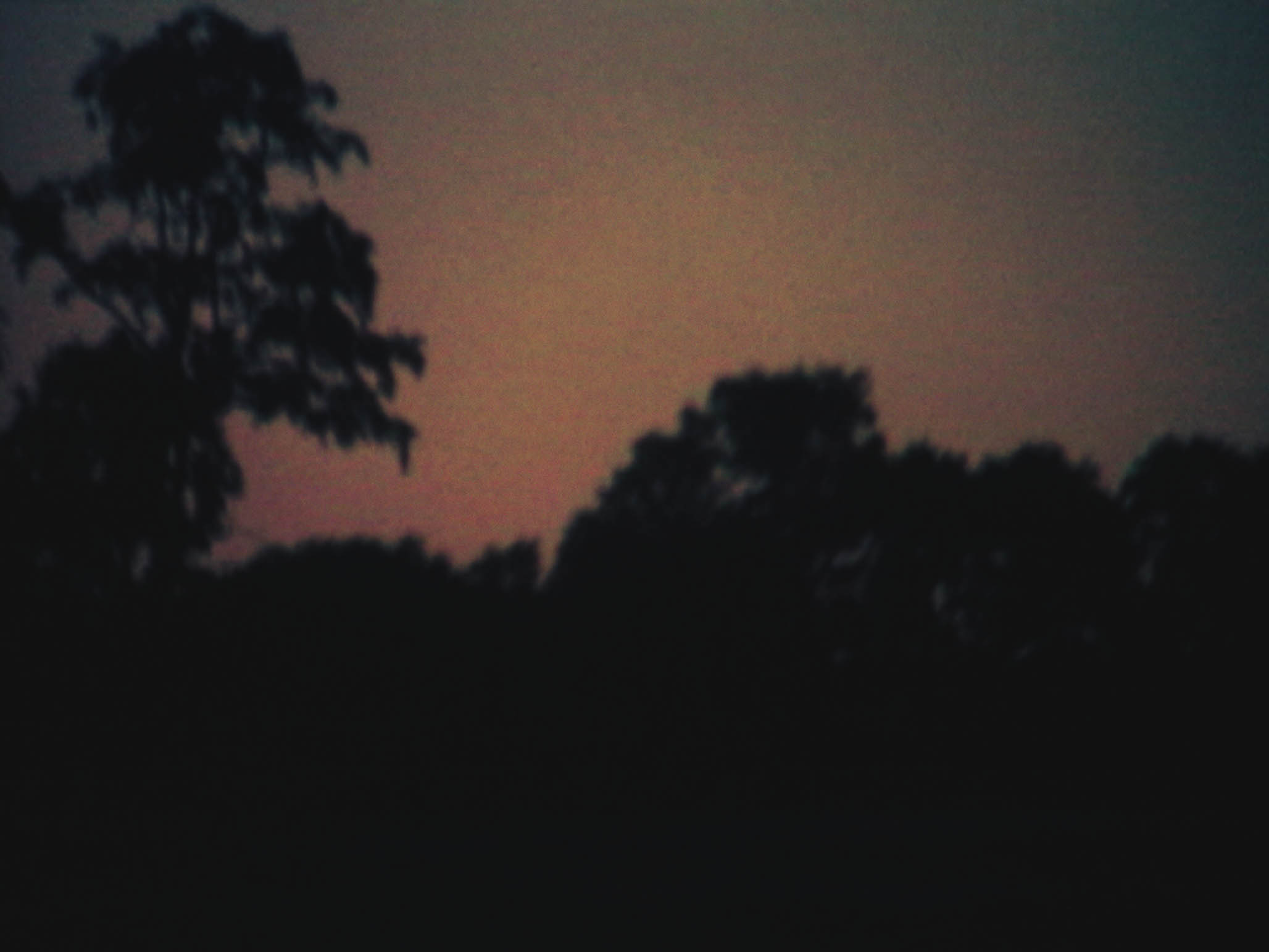 Impactist Time Landscape Still Frame 07