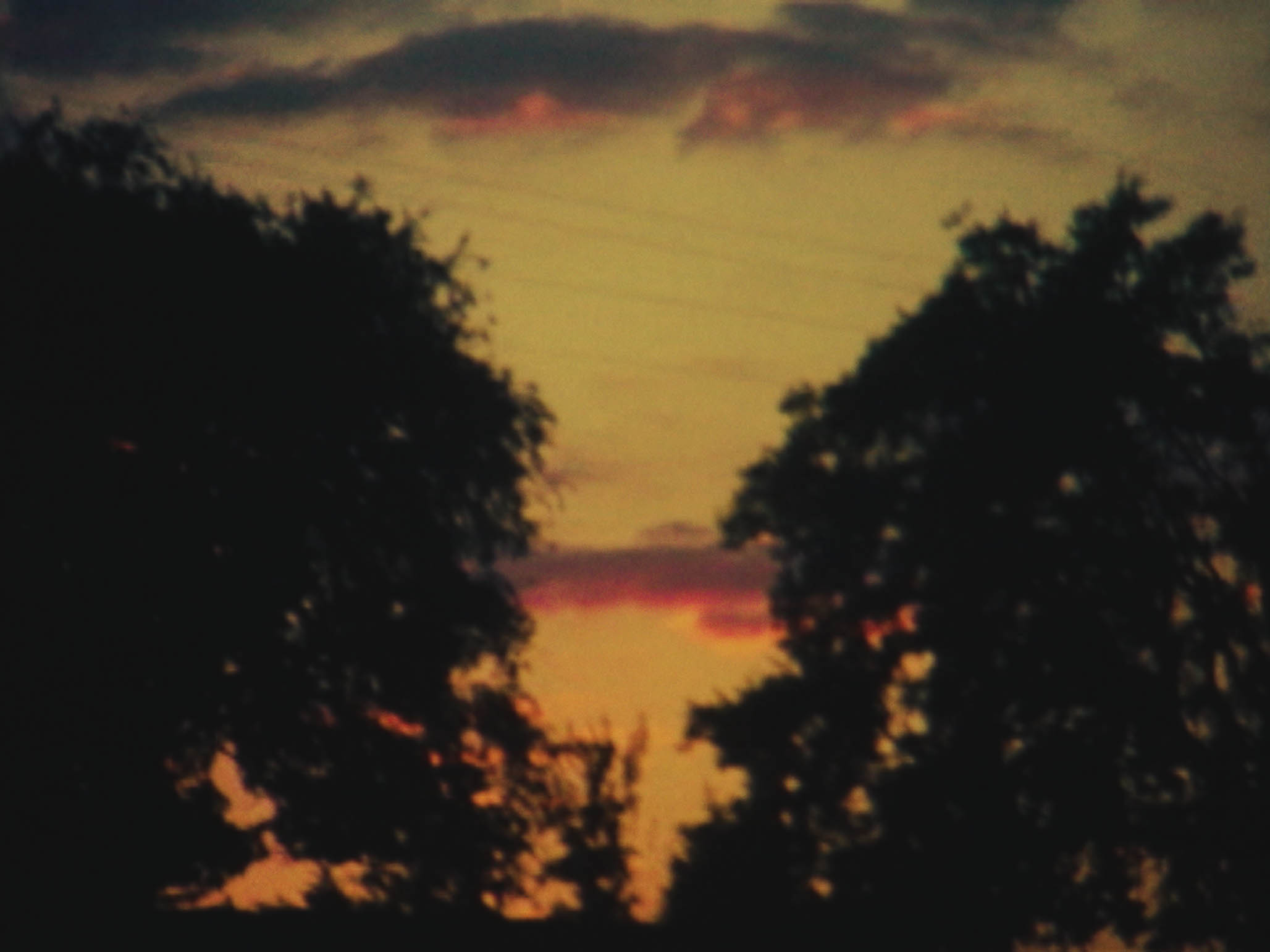 Impactist Time Landscape Still Frame 03