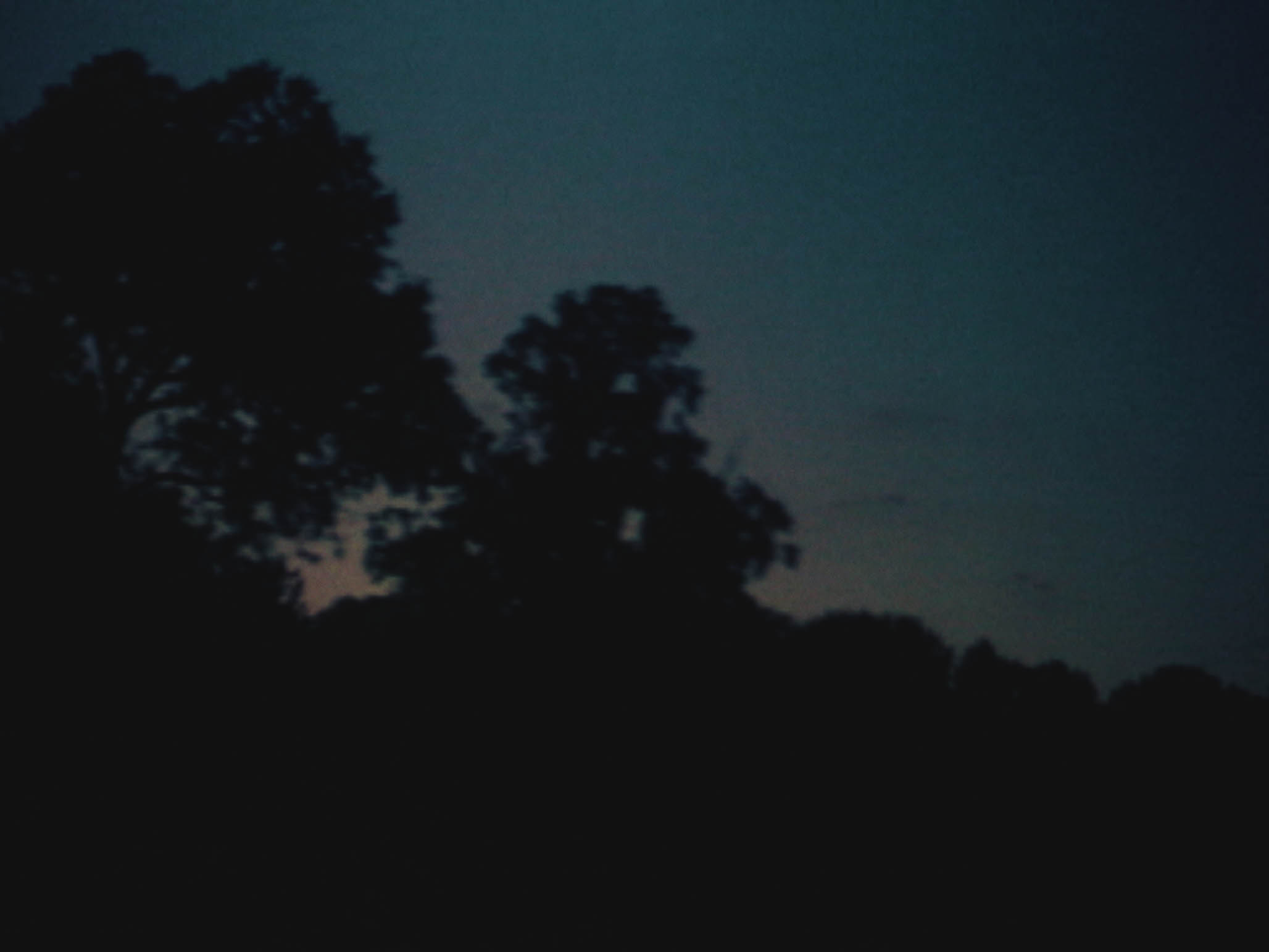 Impactist Time Landscape Still Frame 11