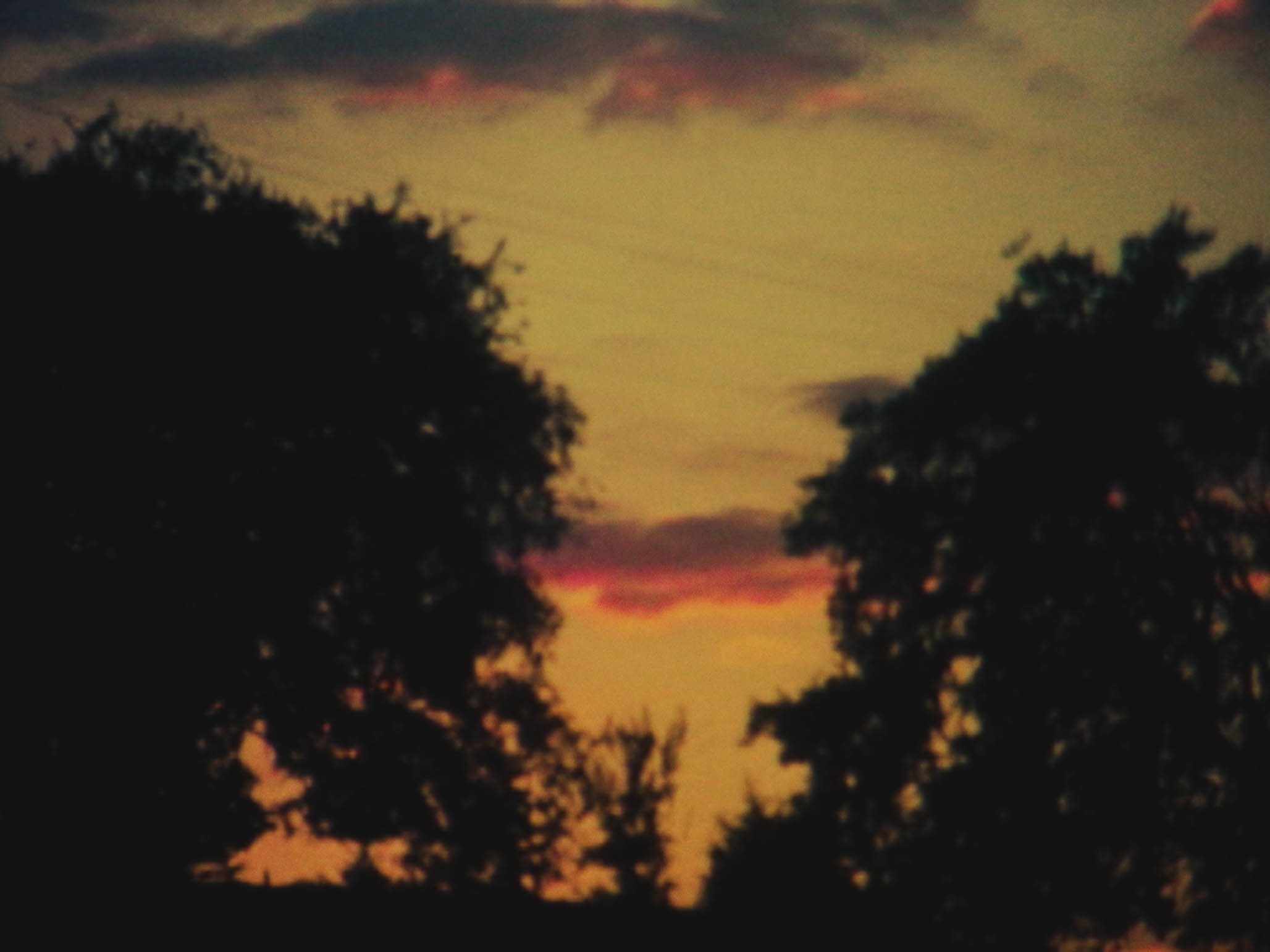 Impactist Time Landscape Still Frame 15