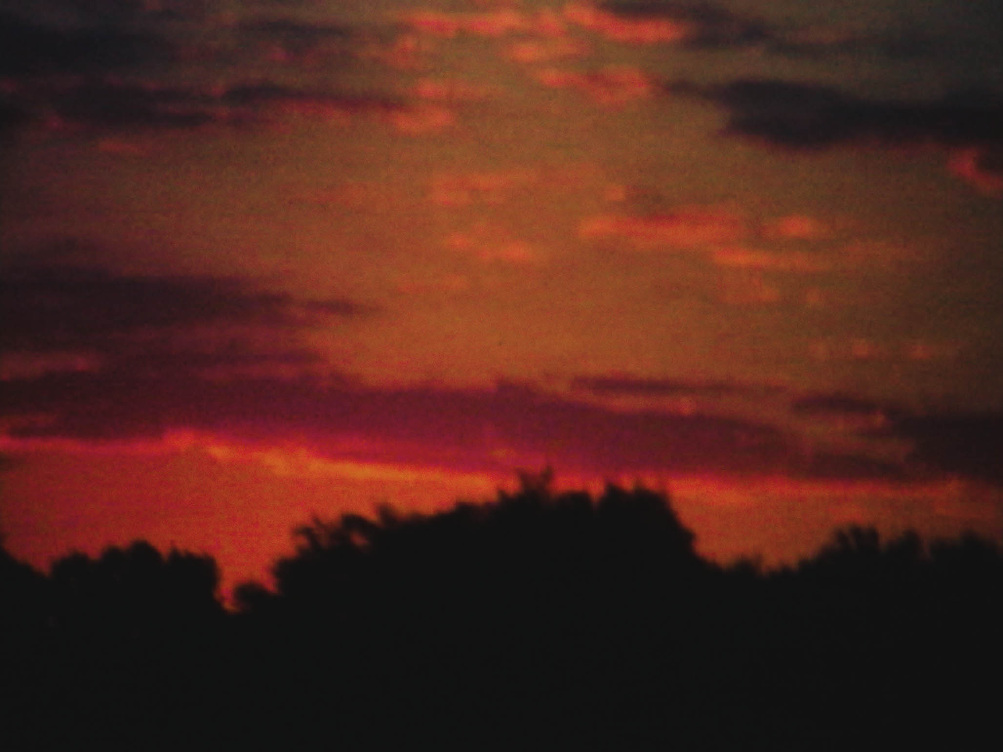Impactist Time Landscape Still Frame 12