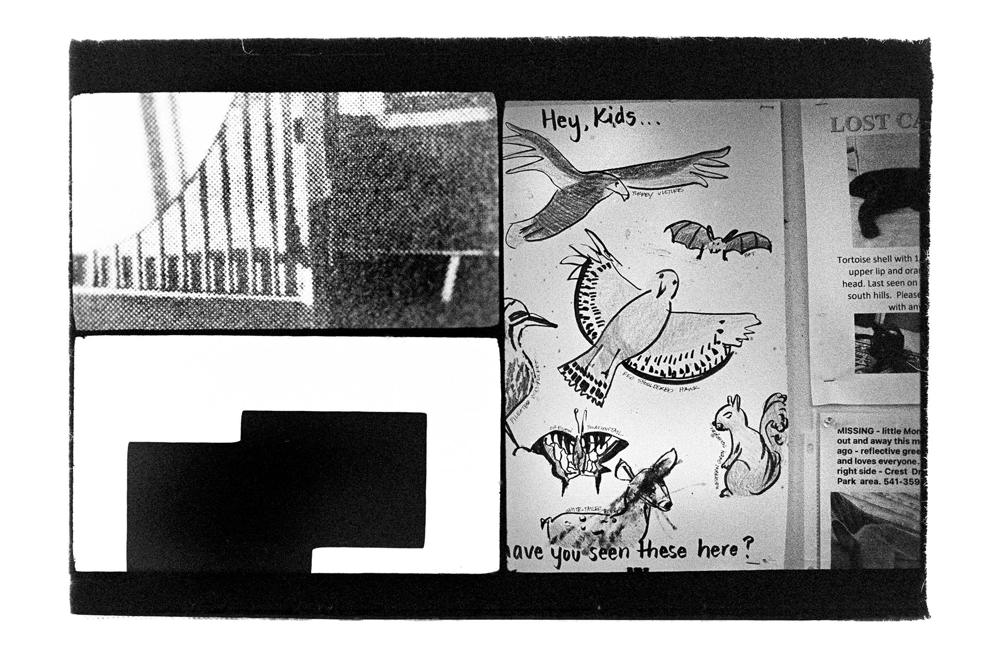 Impactist Triple-Frame 162