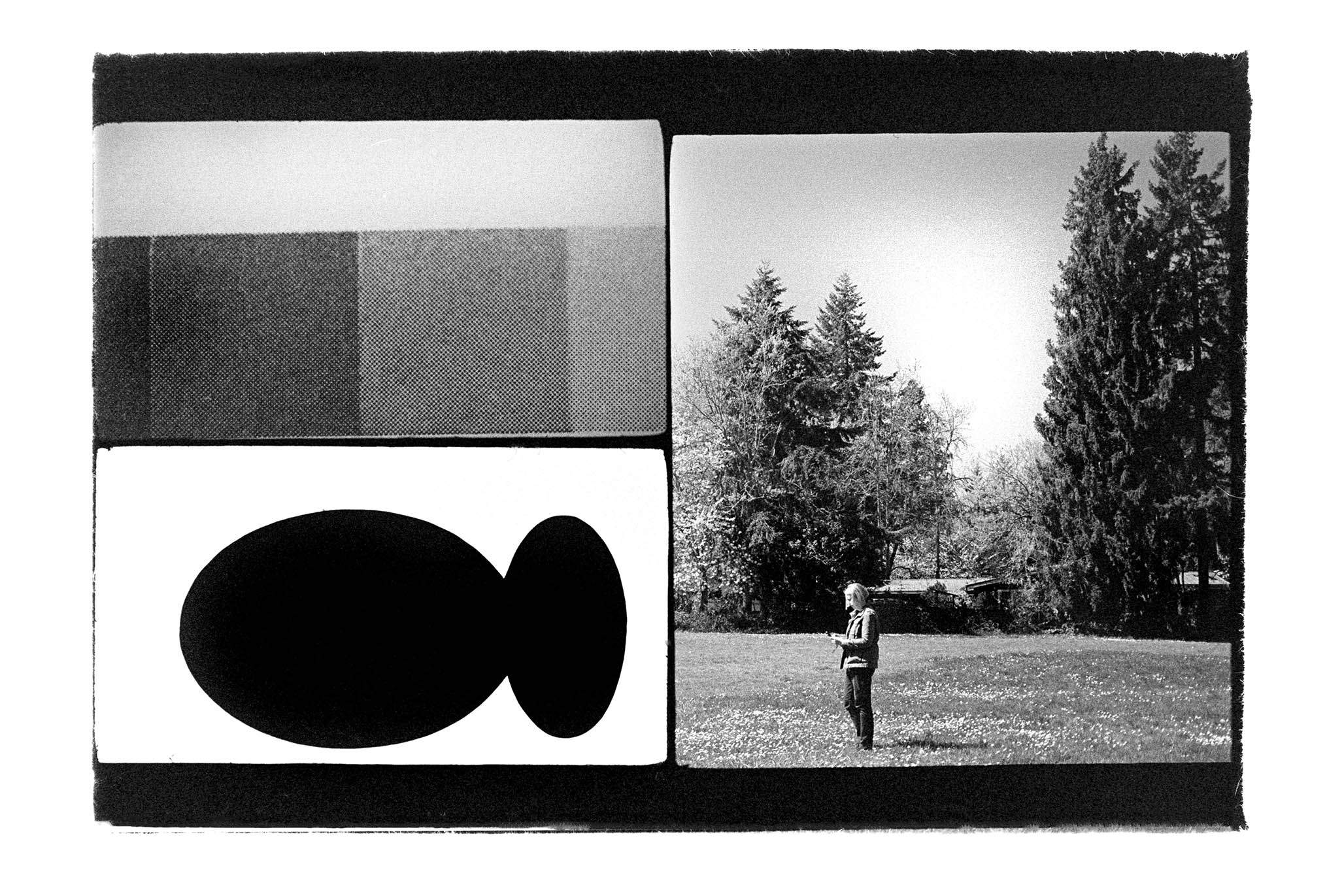 Impactist Triple-Frame 164