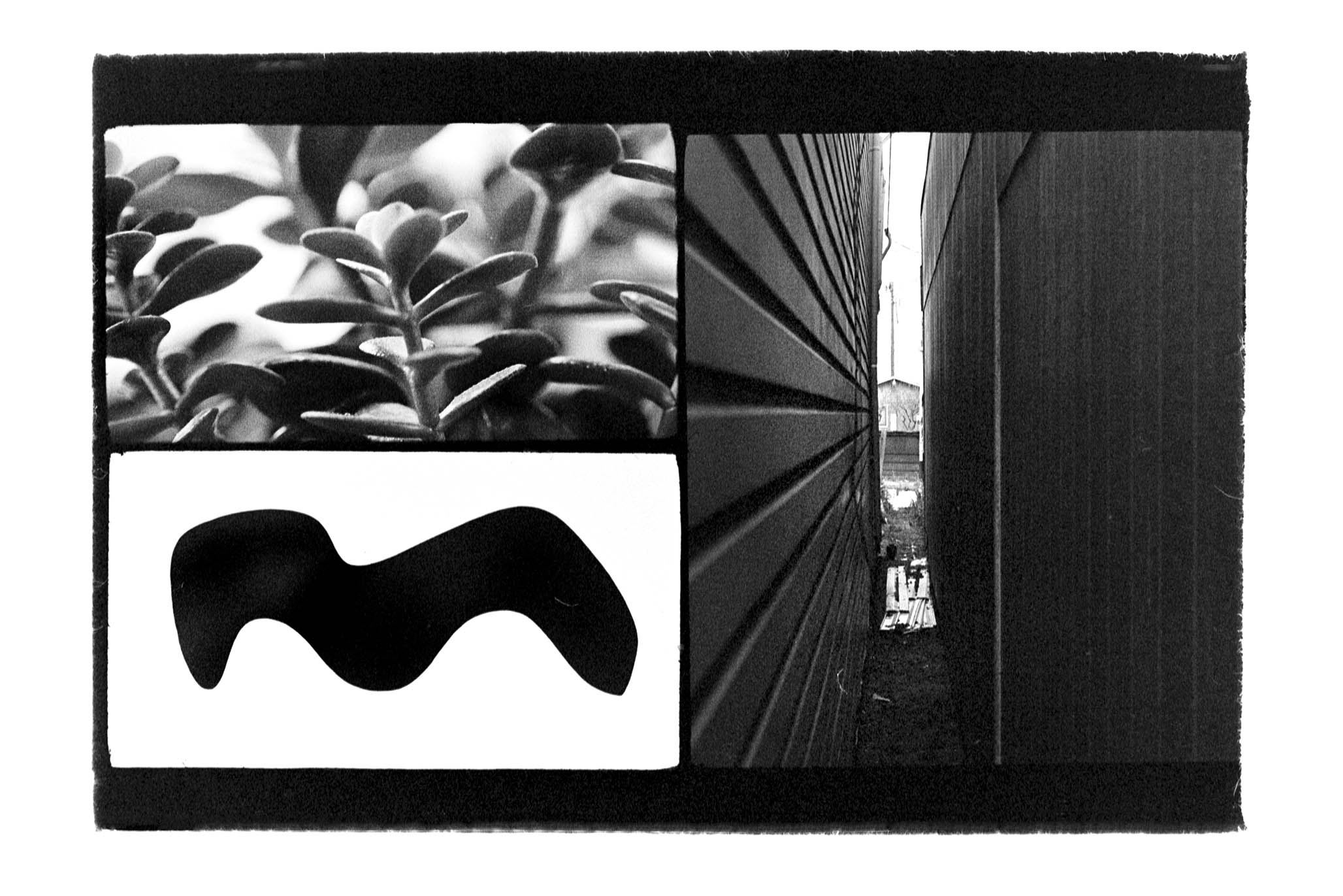 Impactist Triple-Frame 178