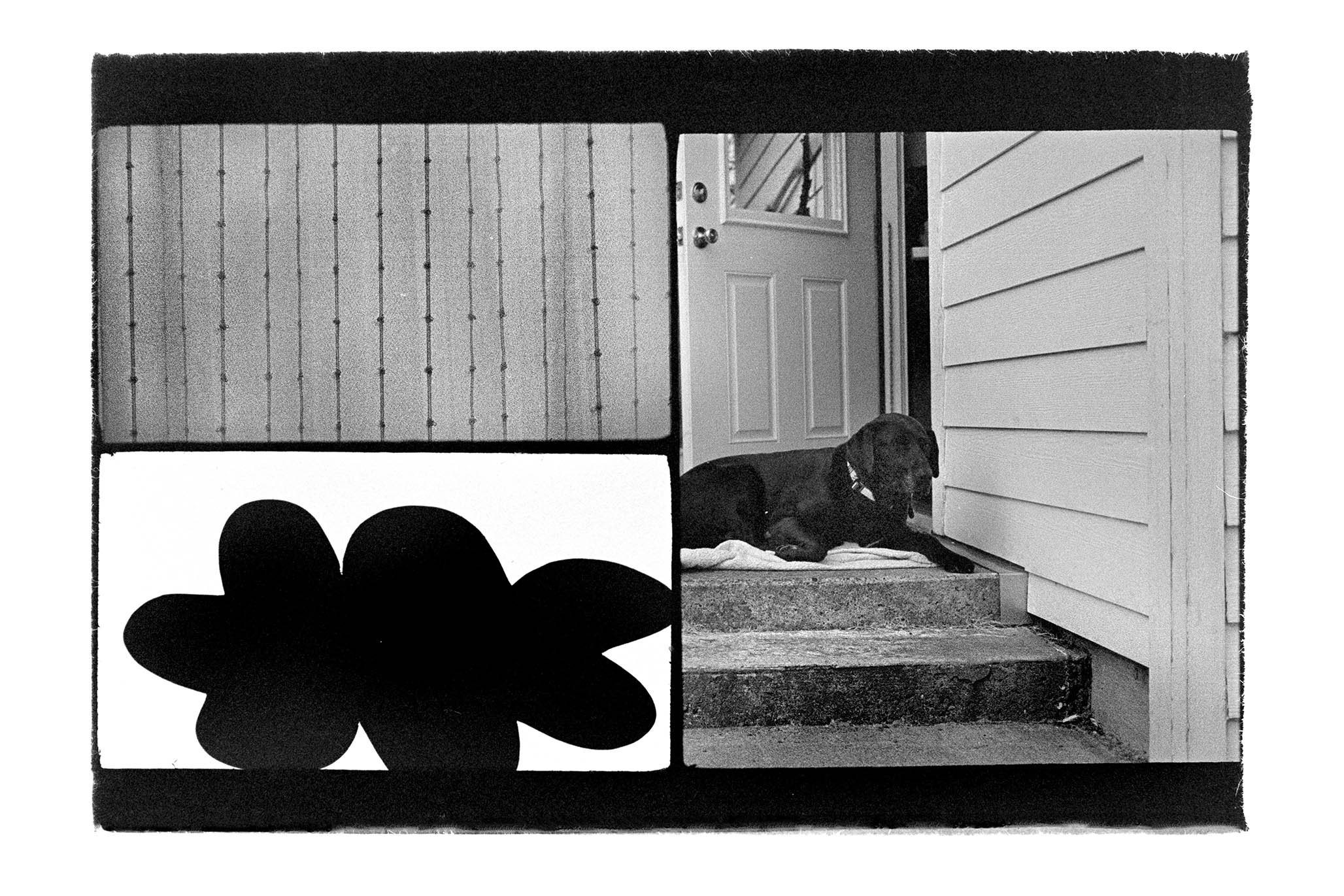 Impactist Triple-Frame 182