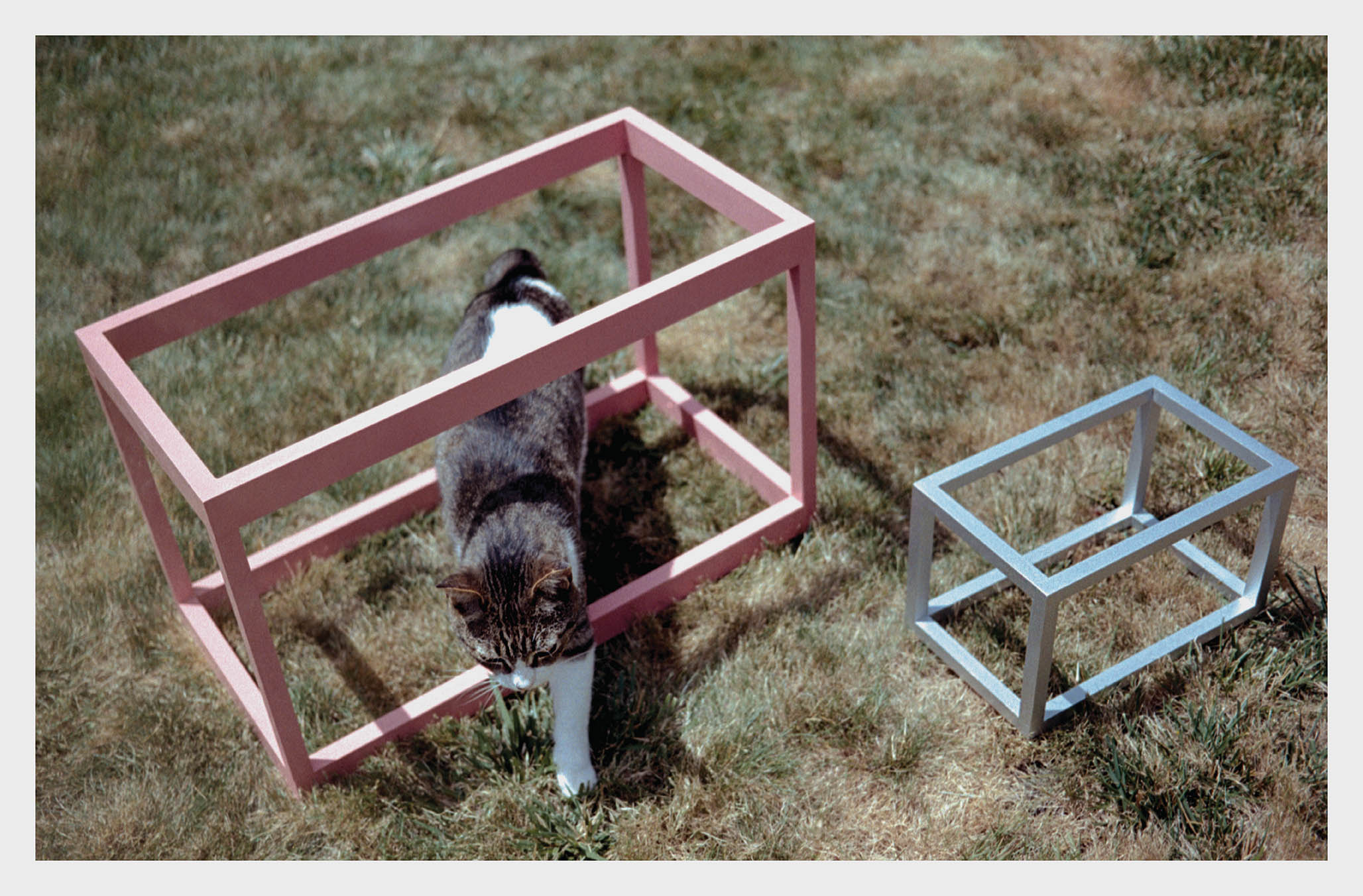 Impactist Trophyatrophy Image 07
