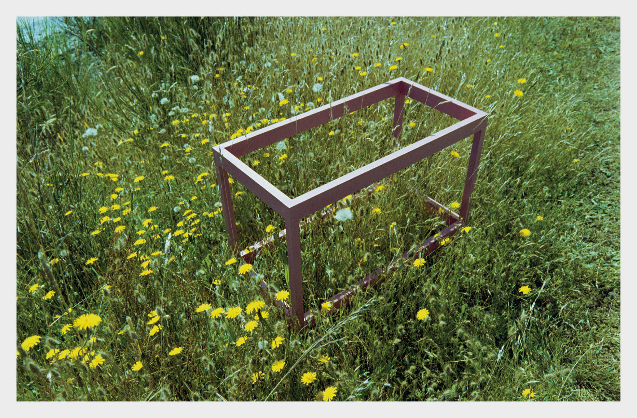 Impactist Trophyatrophy Image 10