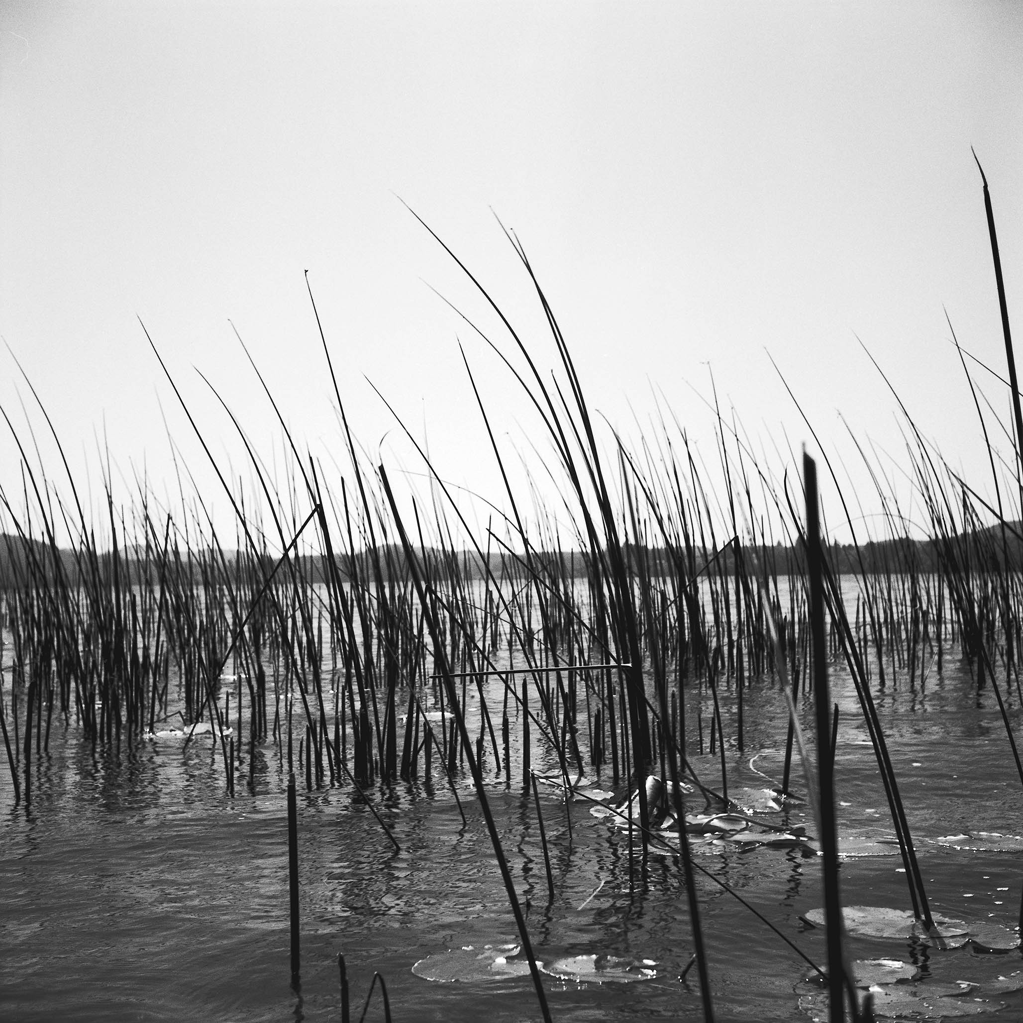 Impactist Water Image 06