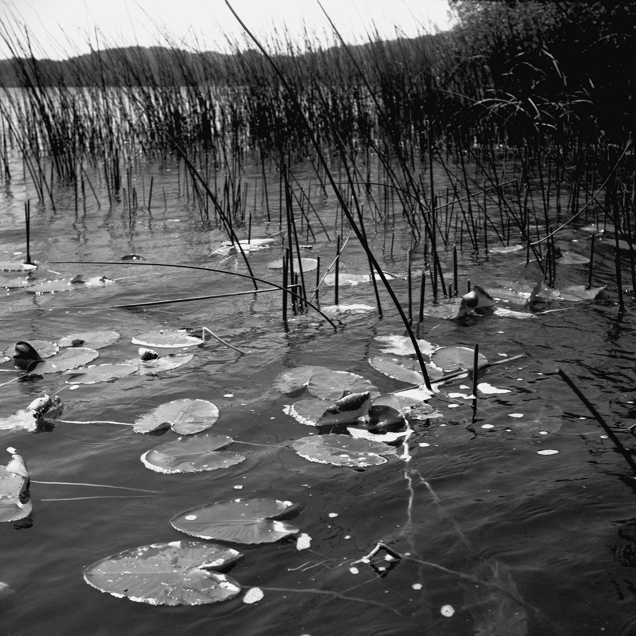 Impactist Water Image 07