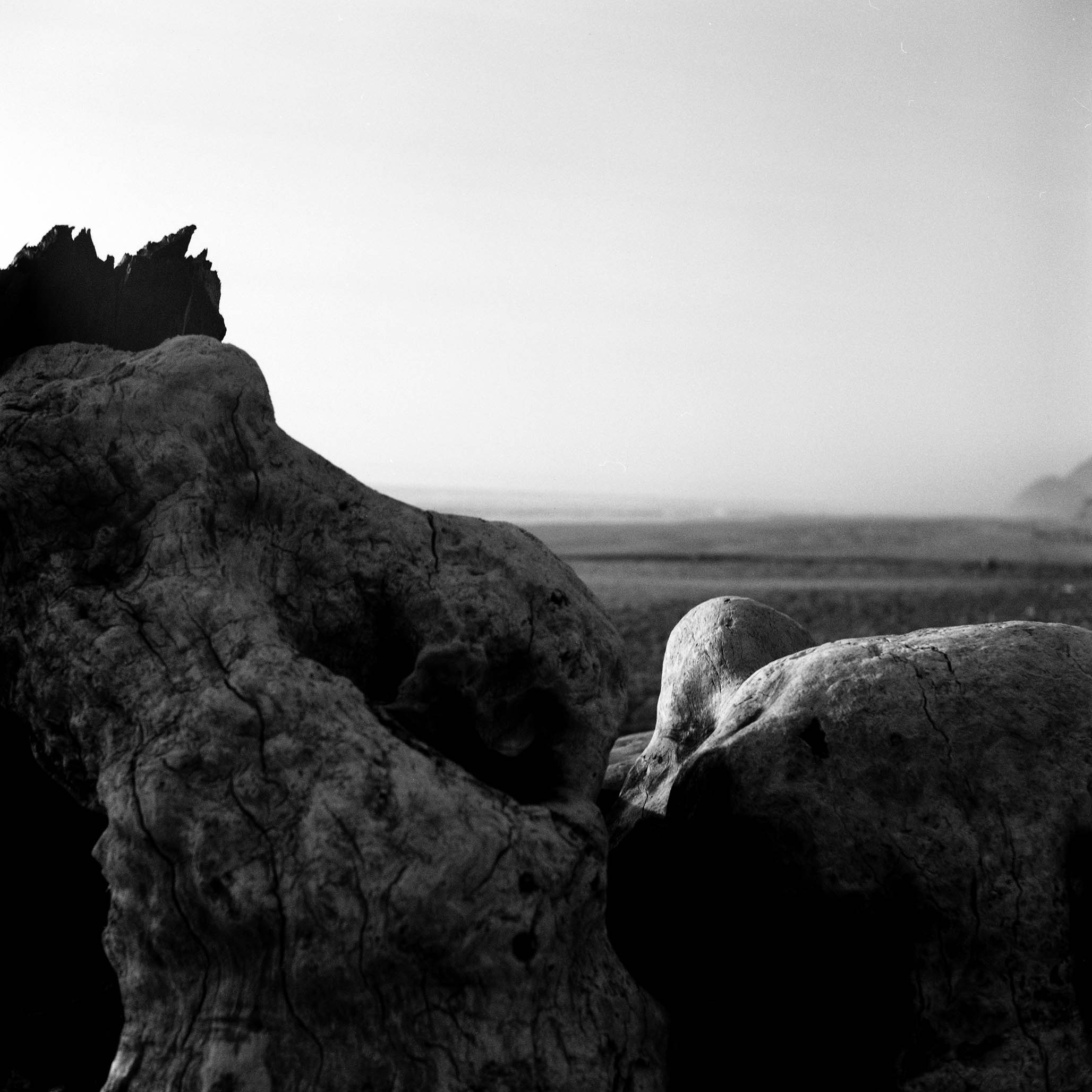 Impactist Water Image 11
