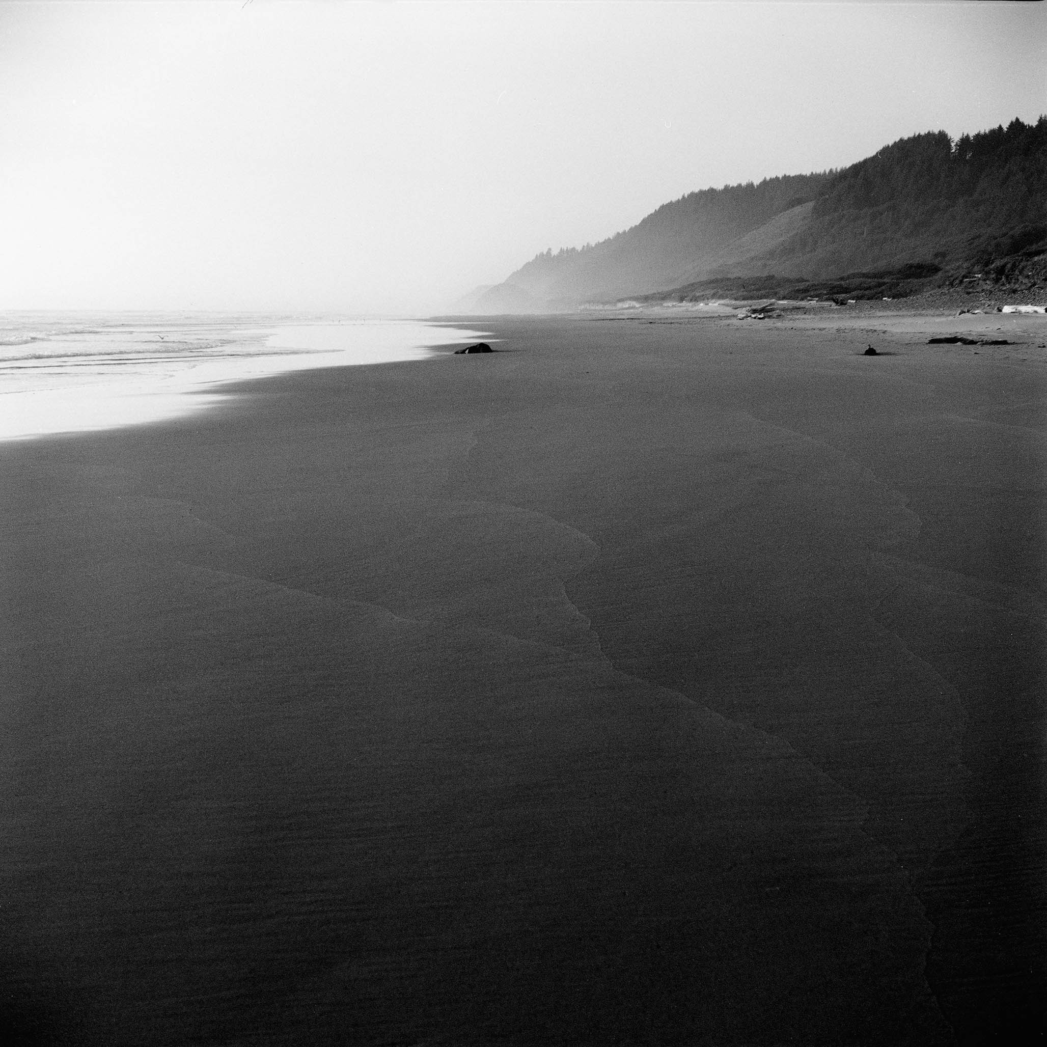 Impactist Water Image 13