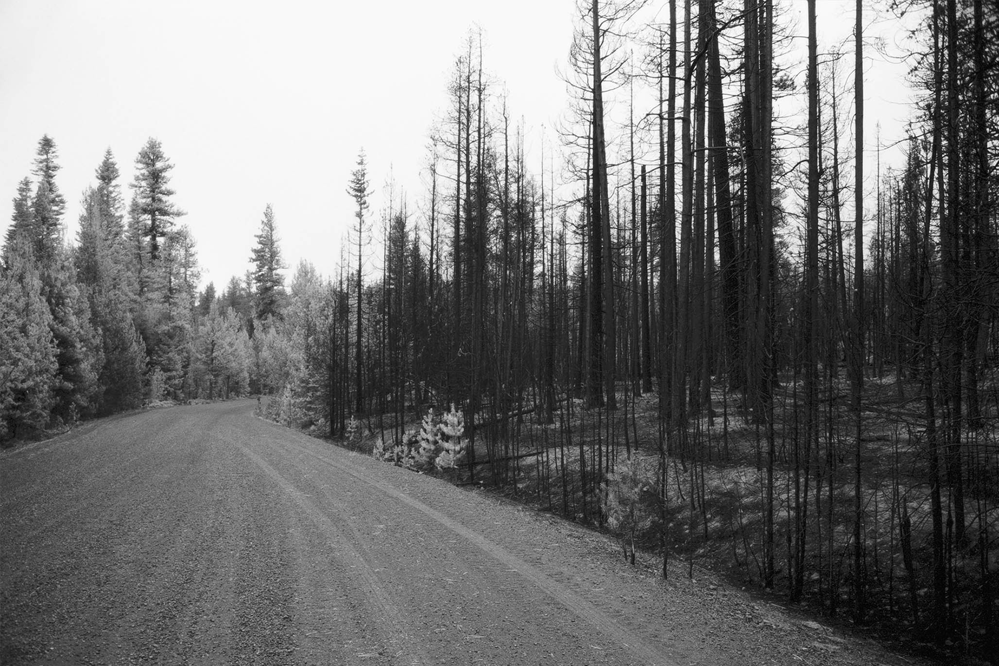 Impactist Winter Fire Image 01a
