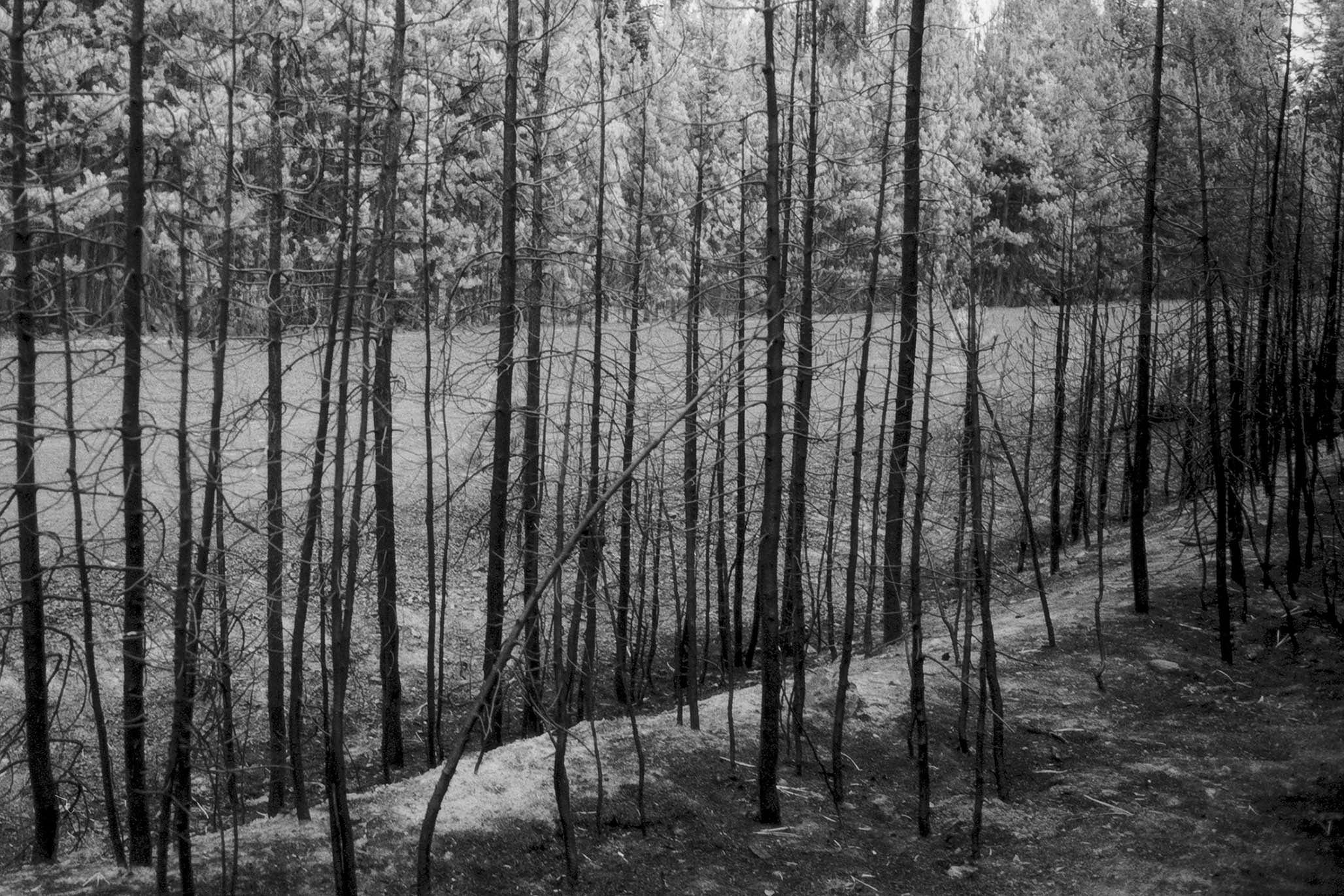 Impactist Winter Fire Image 01b