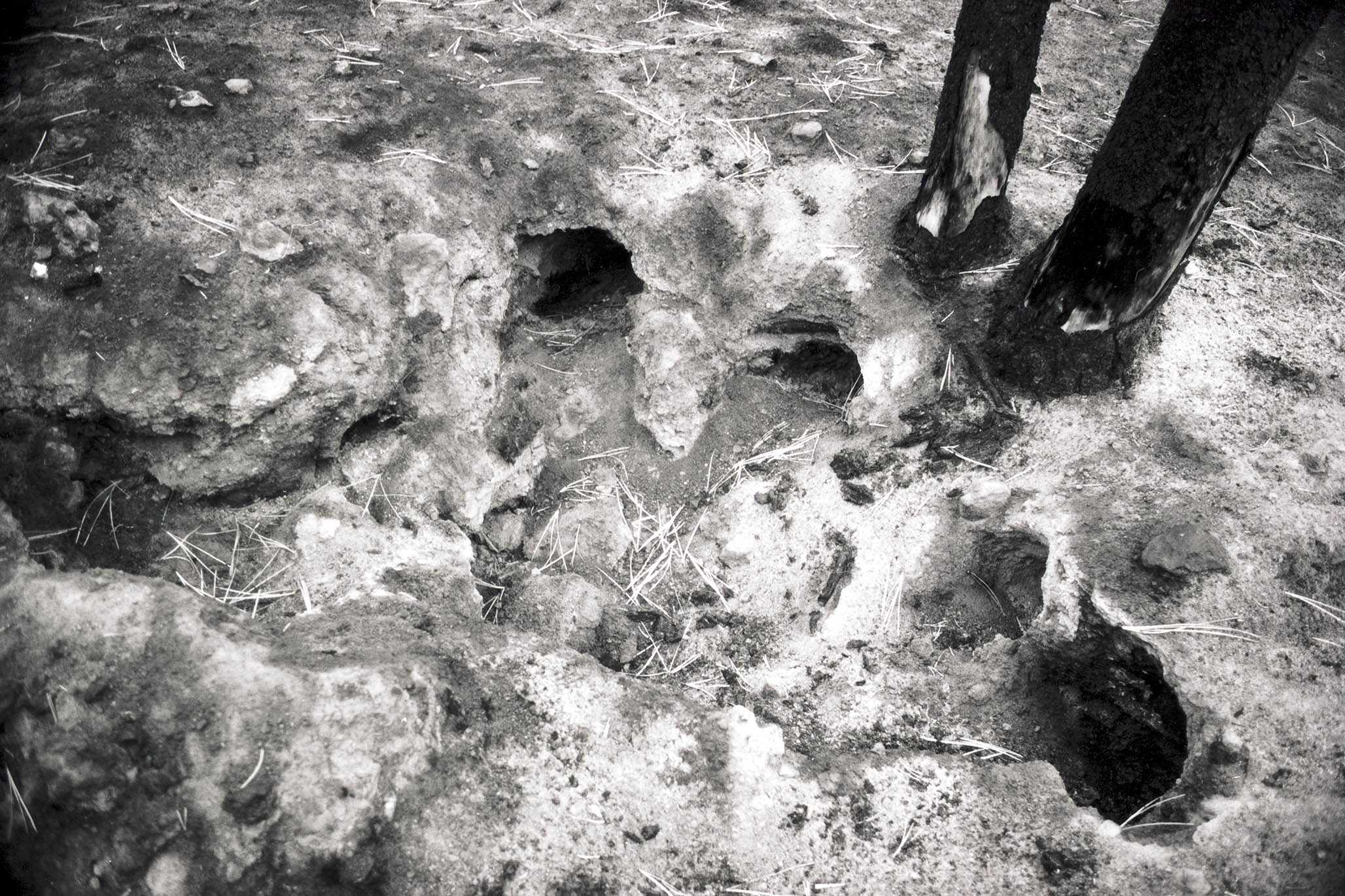 Impactist Winter Fire Image 02