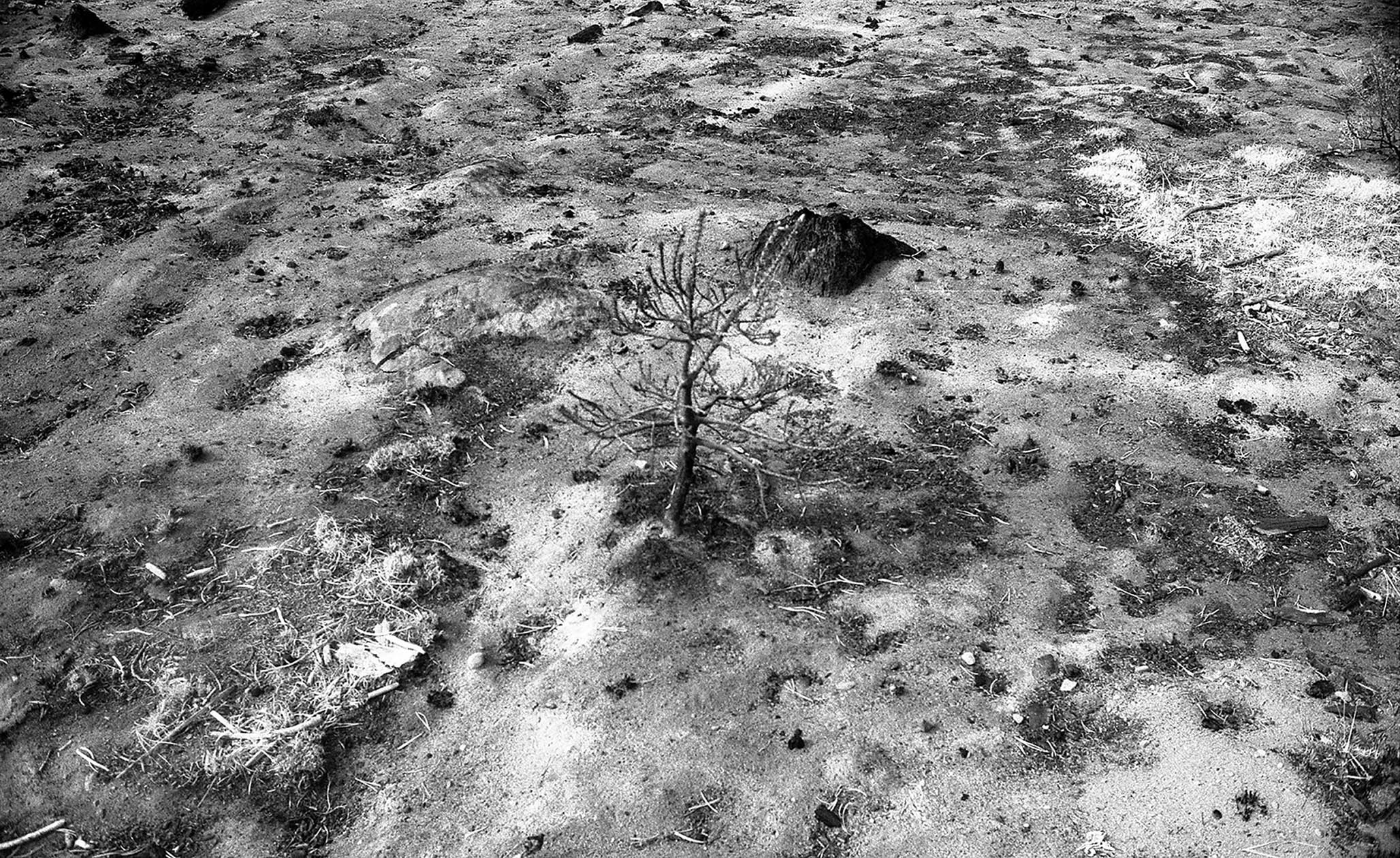 Impactist Winter Fire Image 04a