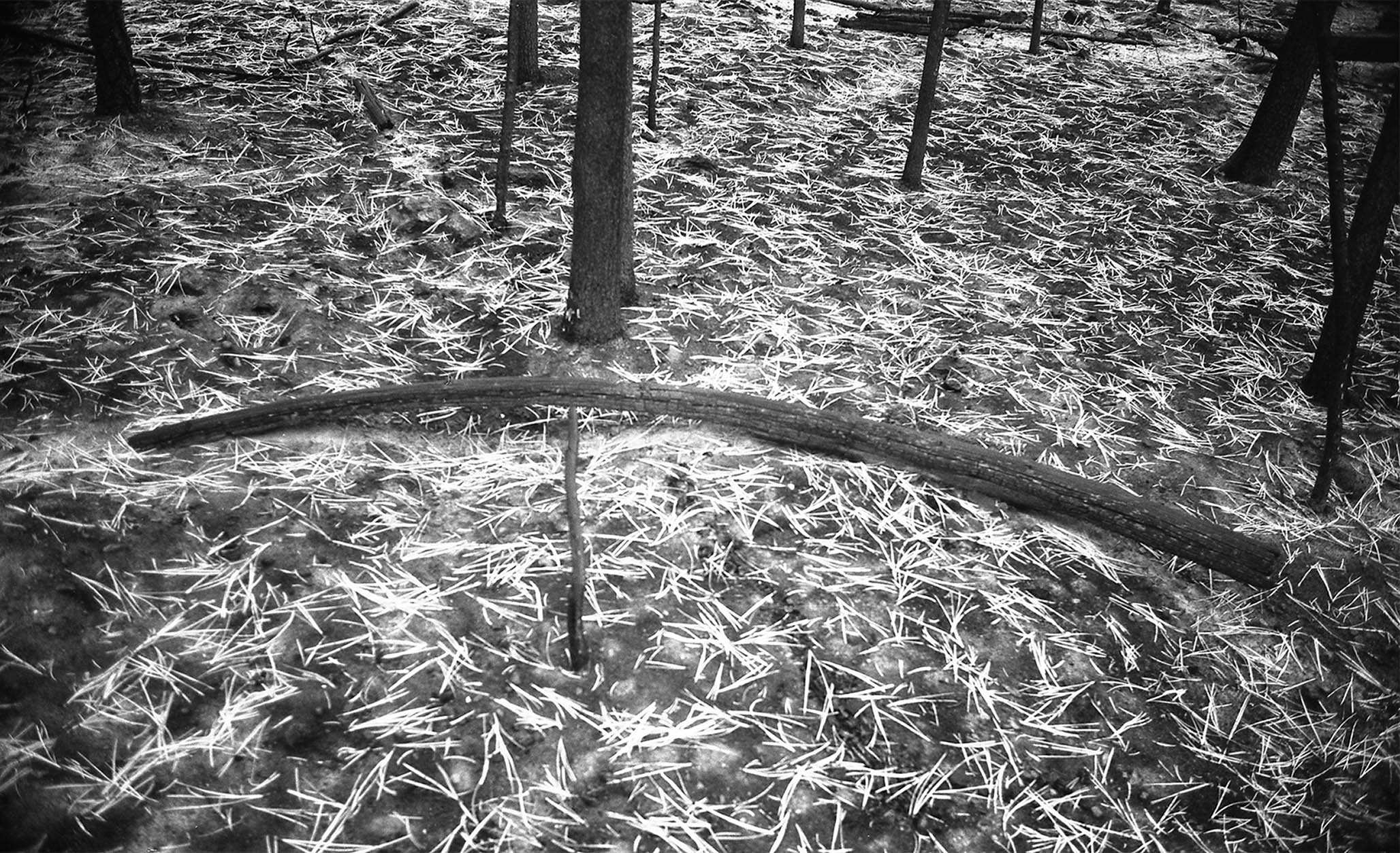 Impactist Winter Fire Image 04b