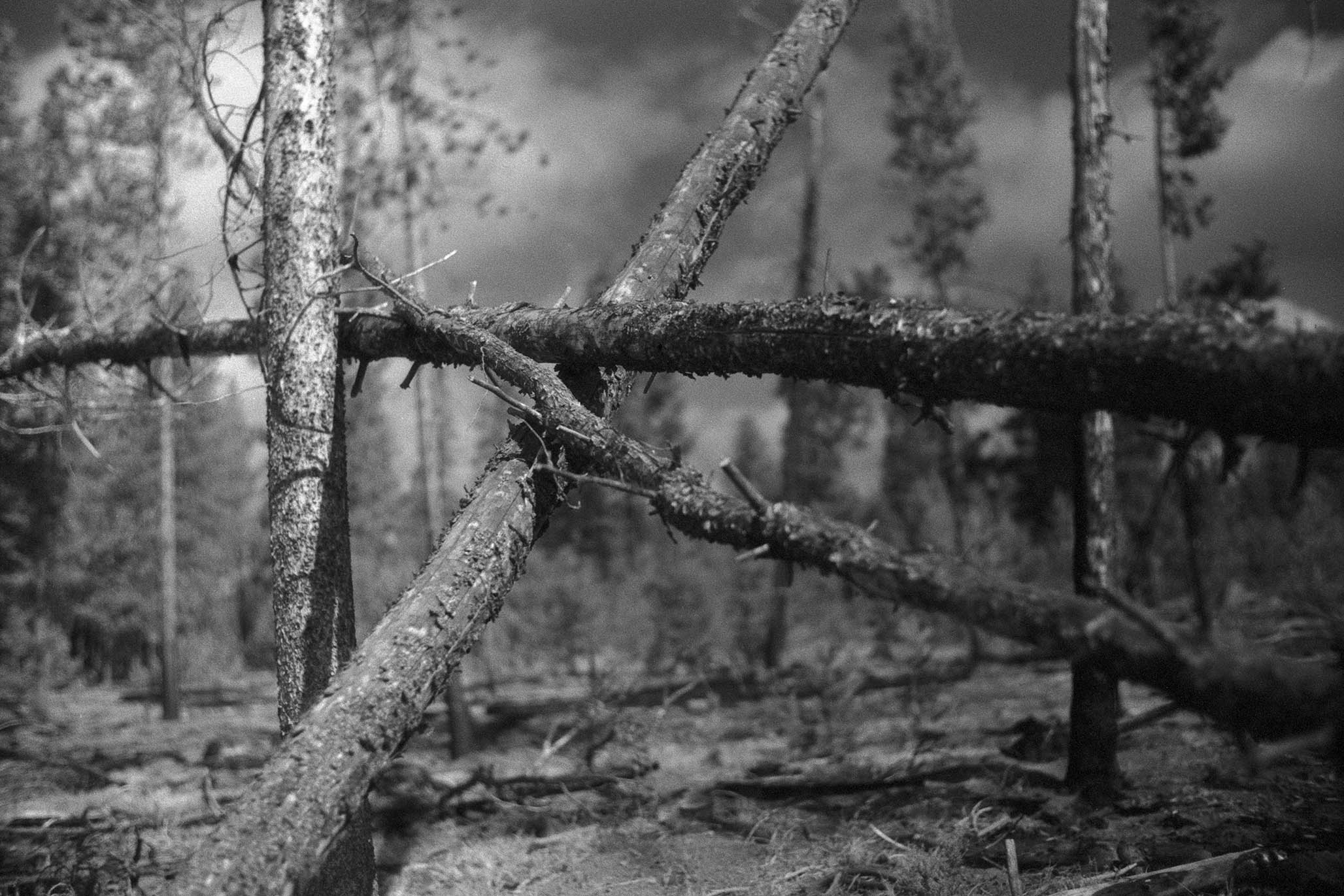 Impactist Winter Fire Image 05