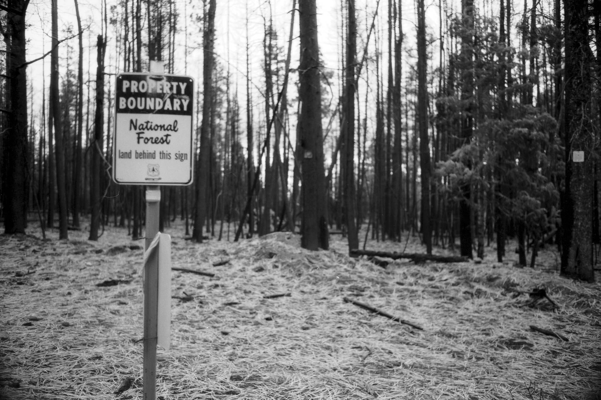 Impactist Winter Fire Image 07