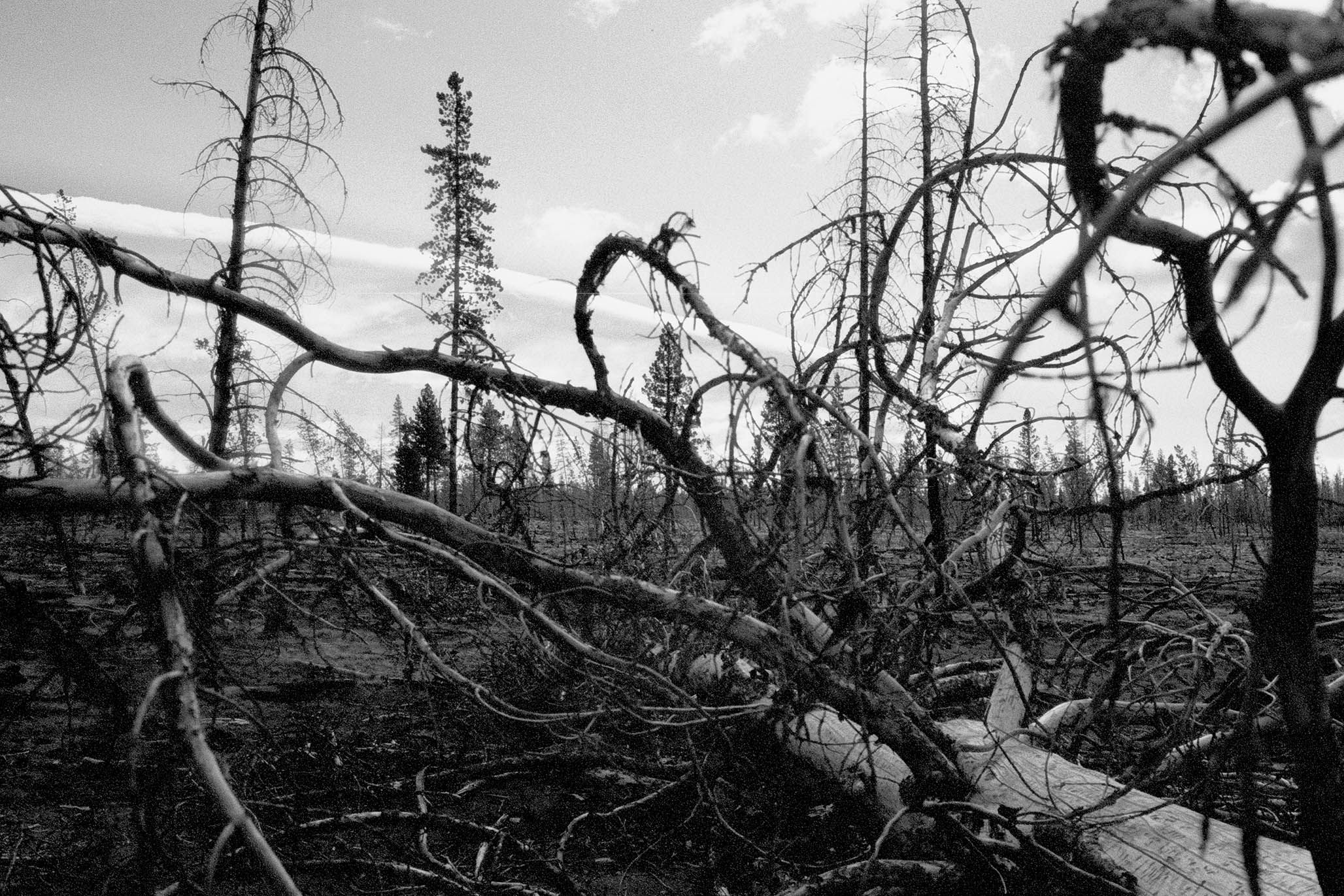 Impactist Winter Fire Image 08