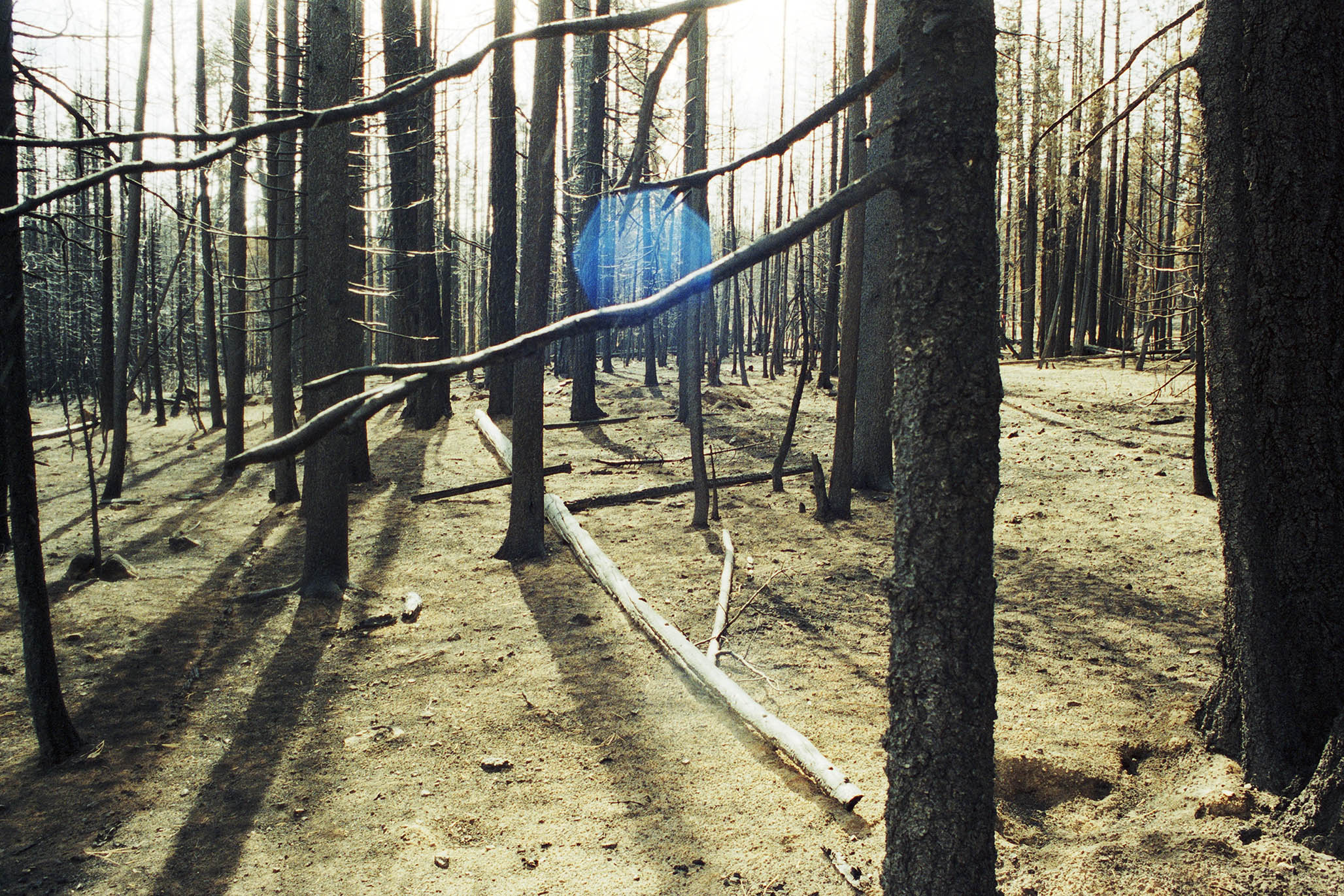 Impactist Winter Fire Image 09a