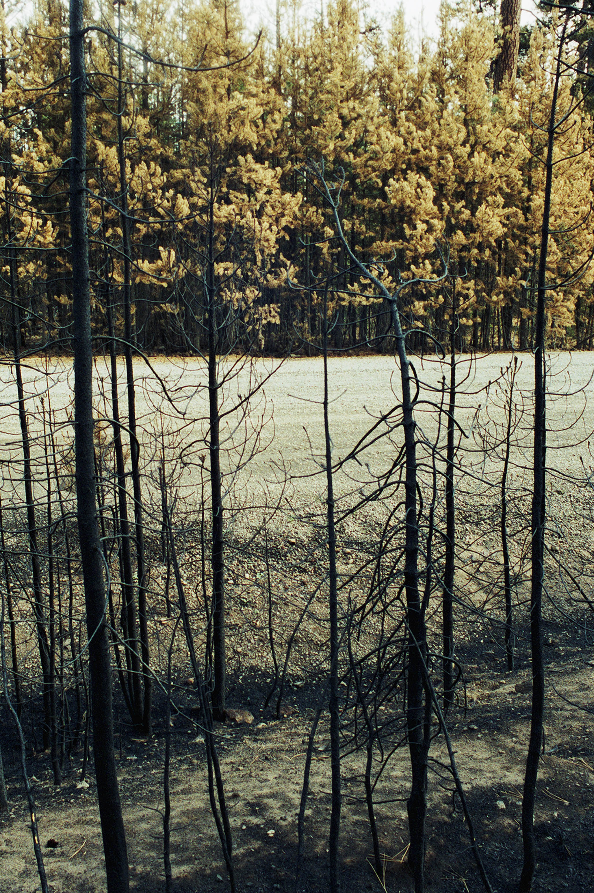Impactist Winter Fire Image 09b