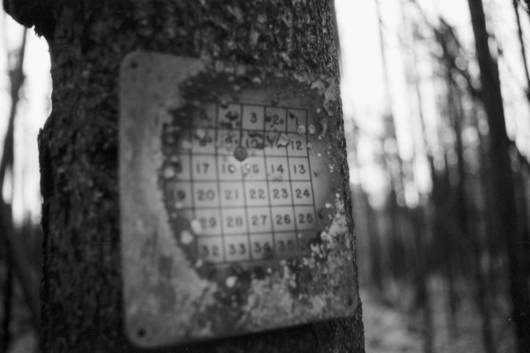 Impactist Winter Fire Image 10
