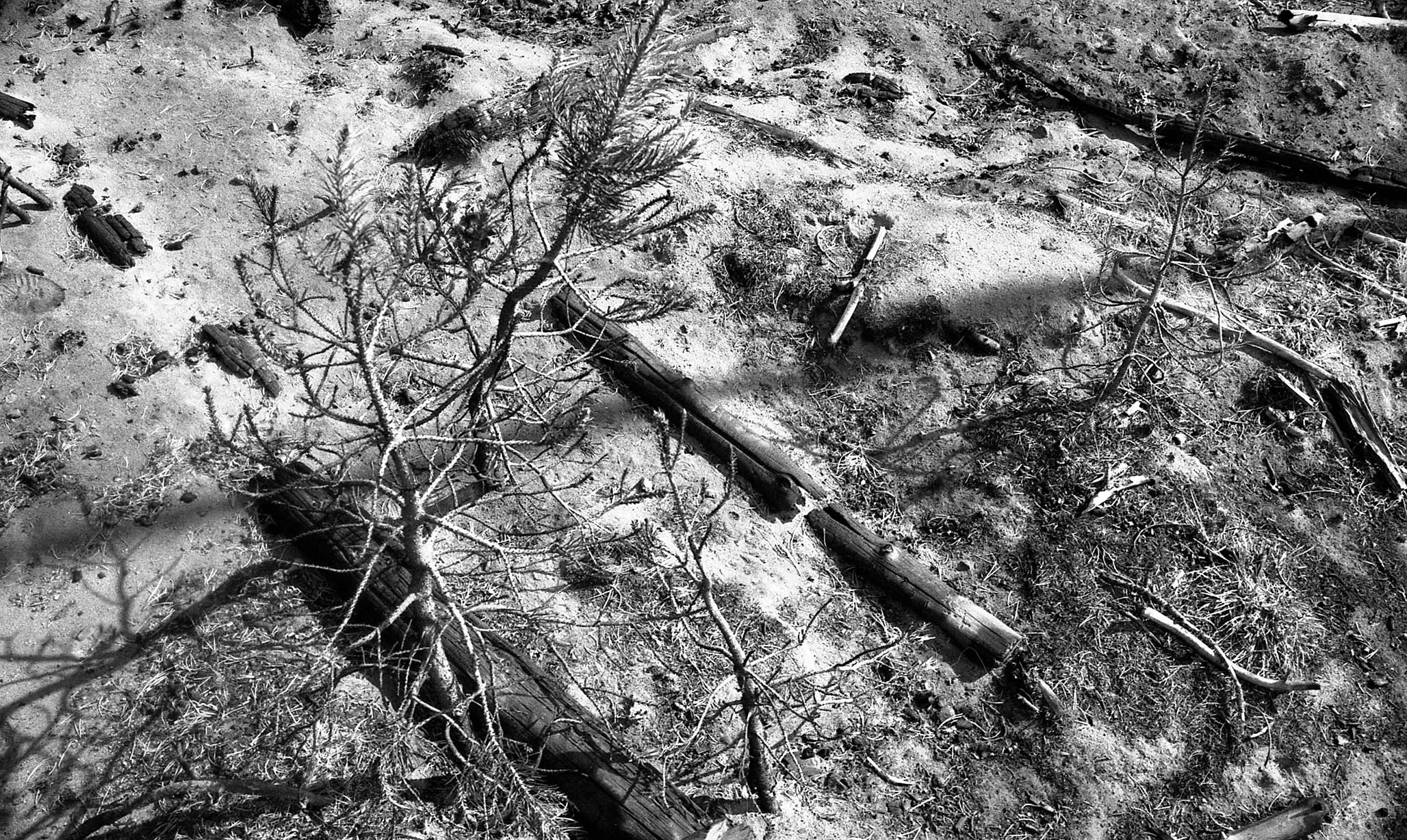 Impactist Winter Fire Image 12