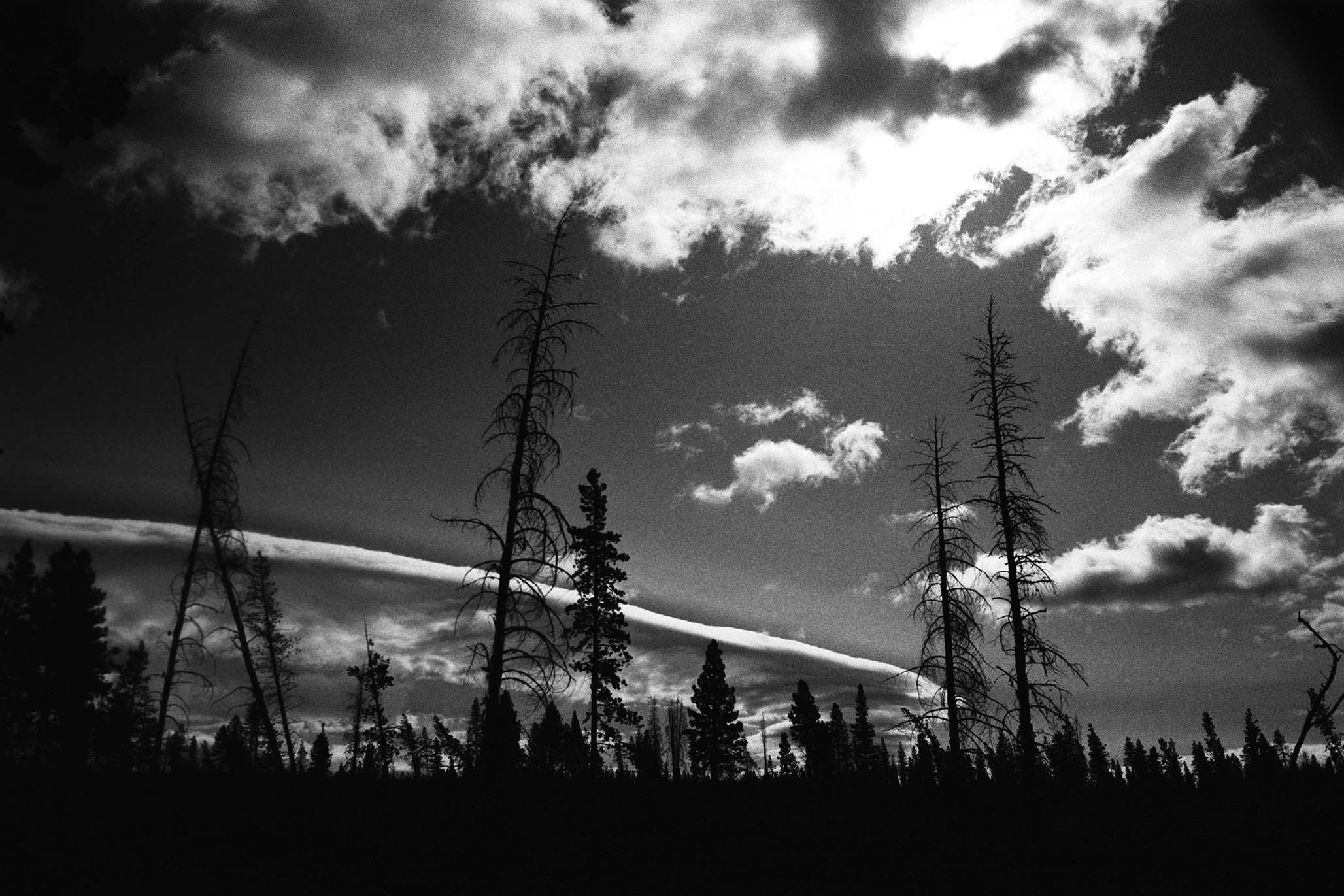 Impactist Winter Fire Image 13