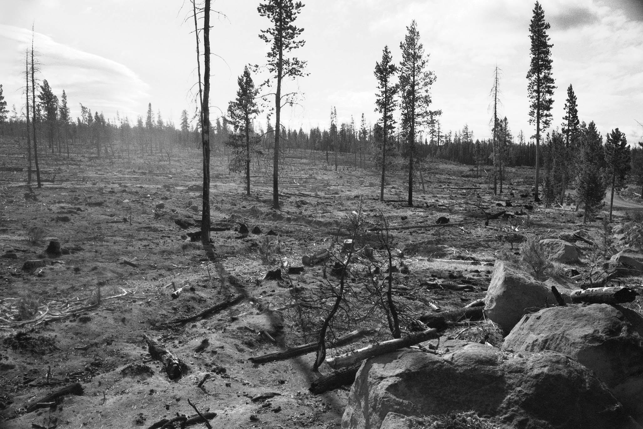 Impactist Winter Fire Image 16