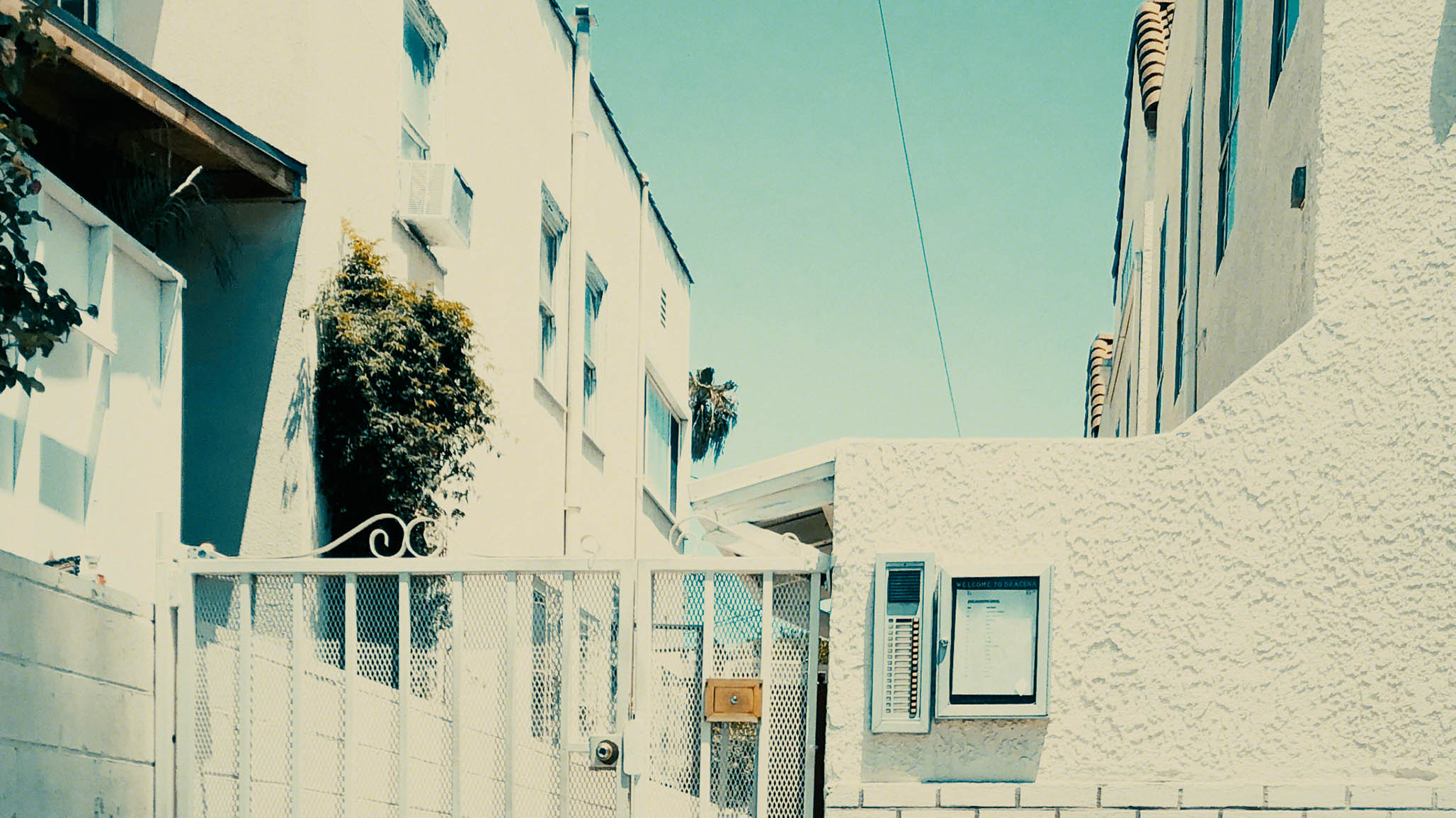 Impactist FXX You’re the Worst Season 5 Still Frame 15