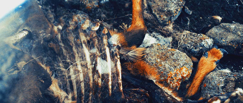 Impactist Amphitheater Still Frame 11