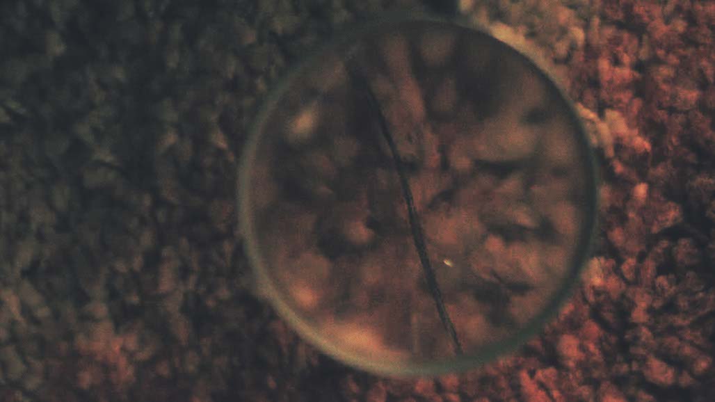 Impactist FX AWOE Still Frame 20