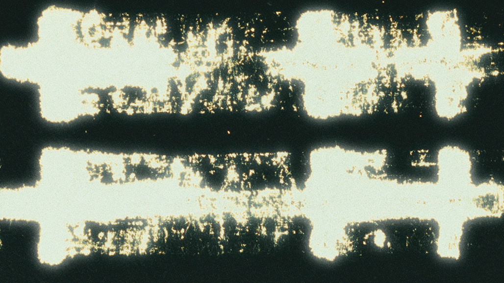 IMPACTIST BREATHING SEASON Still Frame 11