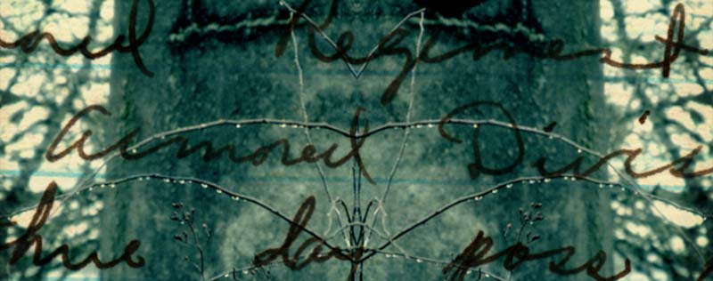 Impactist Camp Adair Still Frame 01