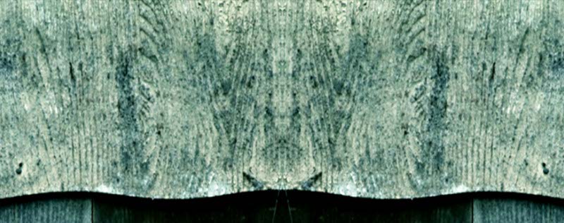 Impactist Camp Adair Still Frame 22