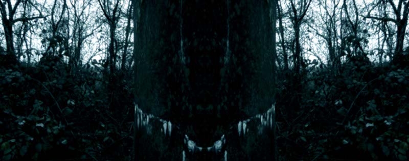 Impactist Camp Adair Still Frame 35