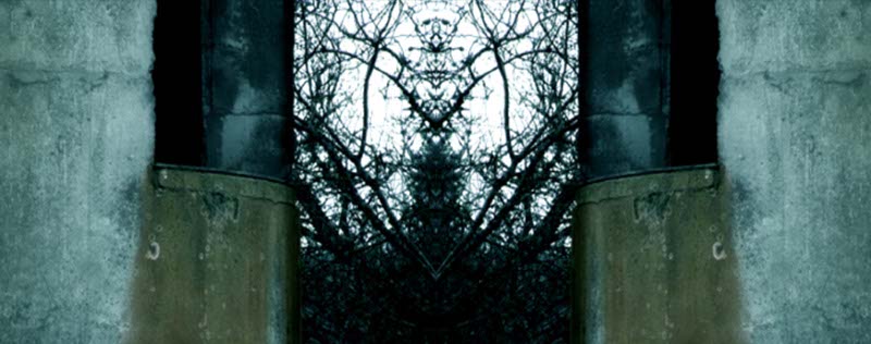 Impactist Camp Adair Still Frame 32