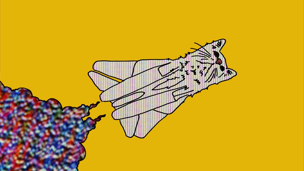 Impactist Cat Dream Still Frame 01