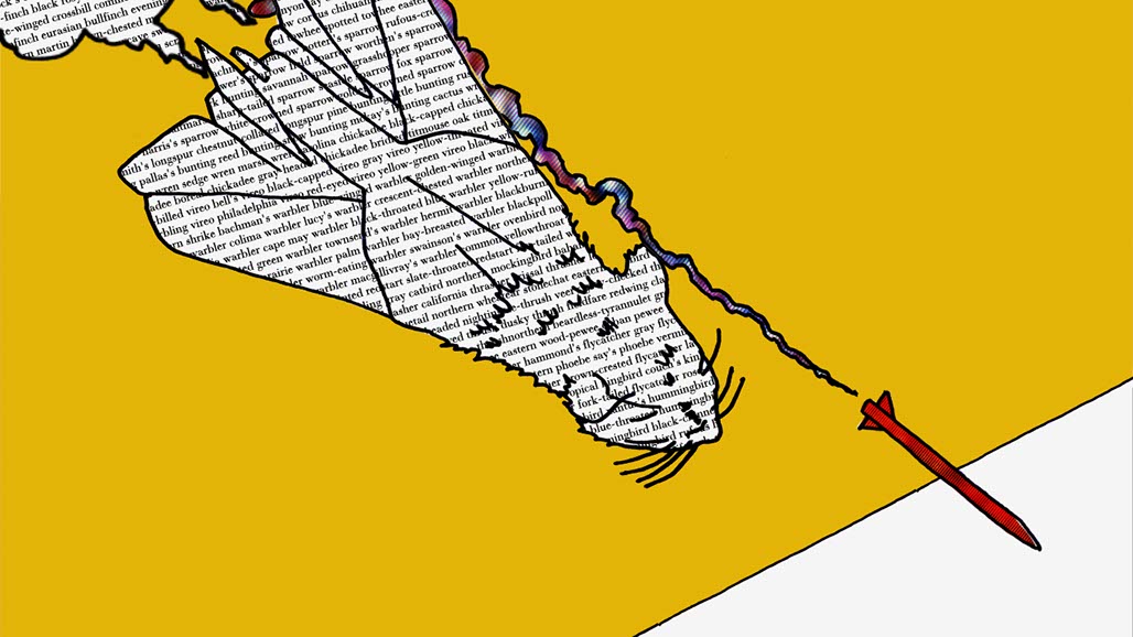 Impactist Cat Dream Still Frame 03