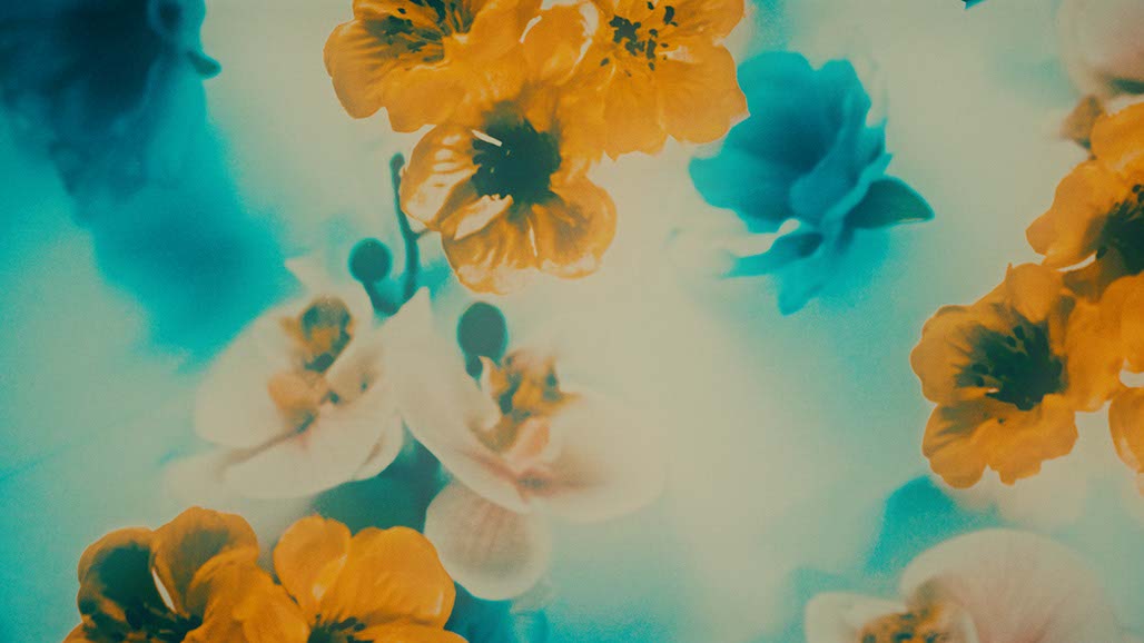 Impactist FX CHOE Still Frame 46