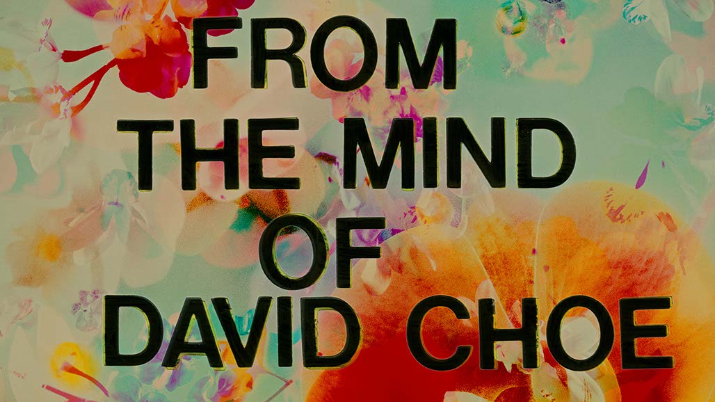 Impactist FX CHOE Still Frame 21